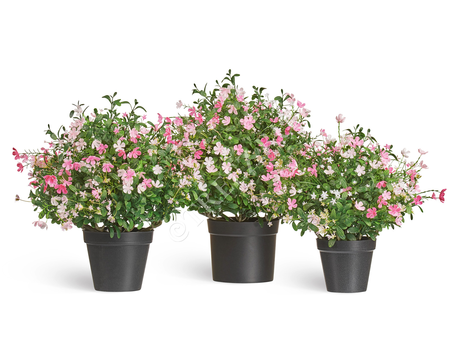 Полевые цветы микс куст Малый нежно-розовый с белым в-36 см, д-35 см 6/18 20.0224072RS-S