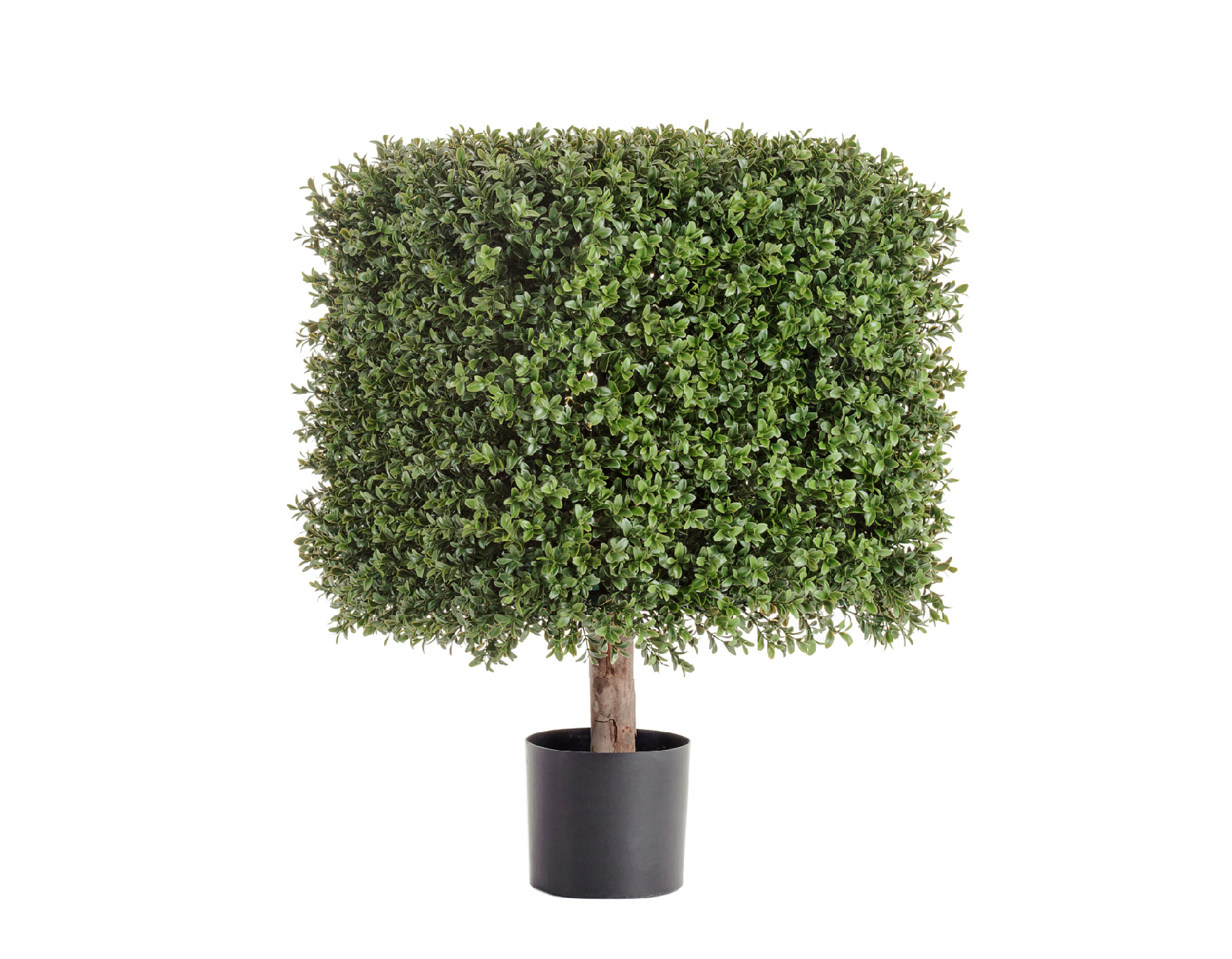 Дополнительные фото 1