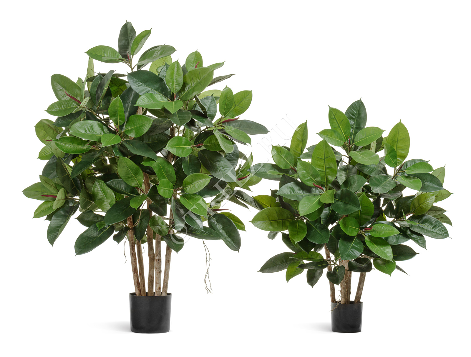 Дополнительные фото 1