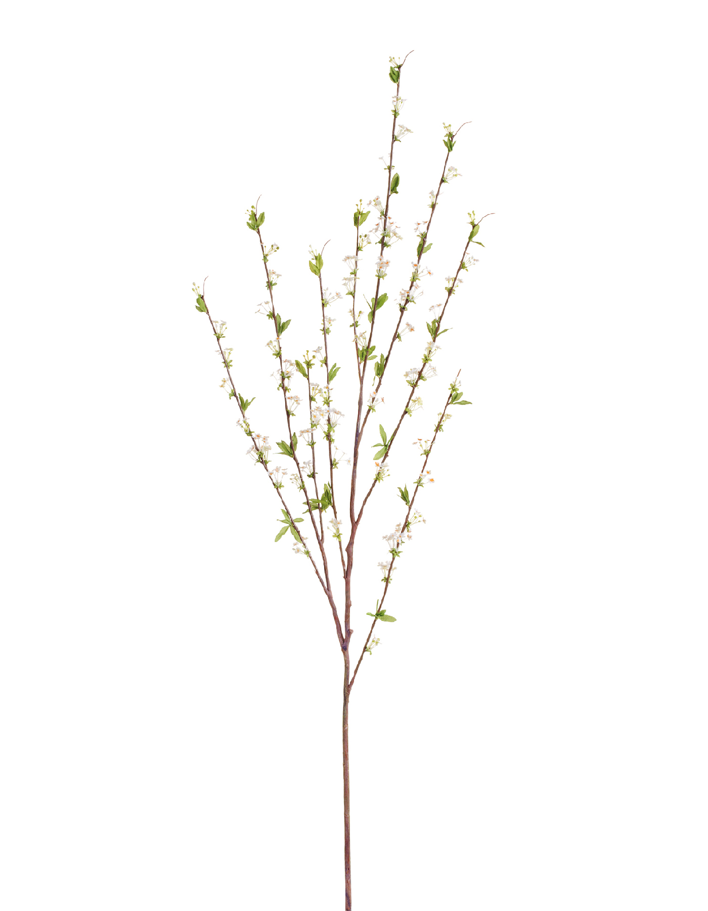 Ветка Спиреи белая большая в-165 см 12/72