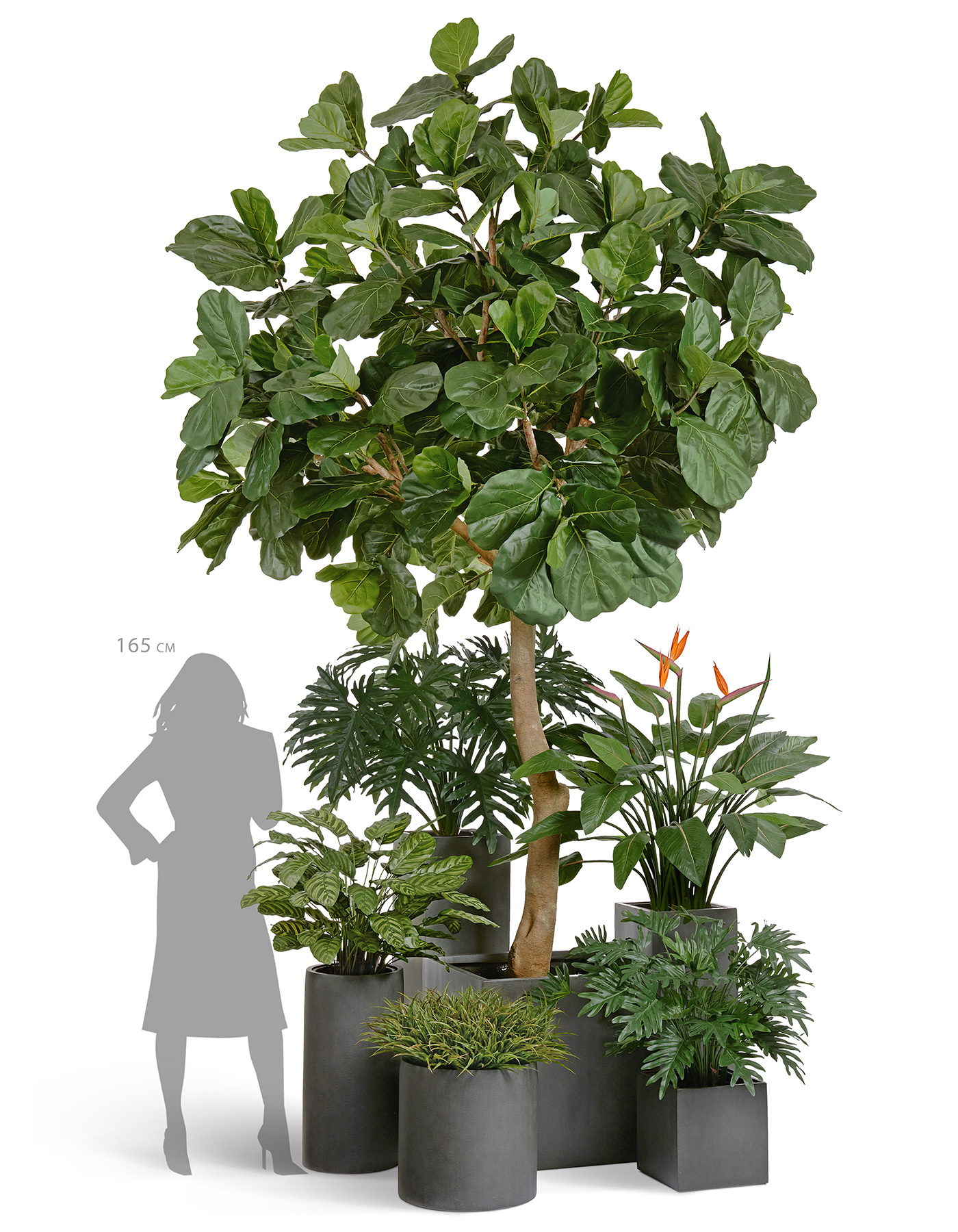 Дополнительные фото 4