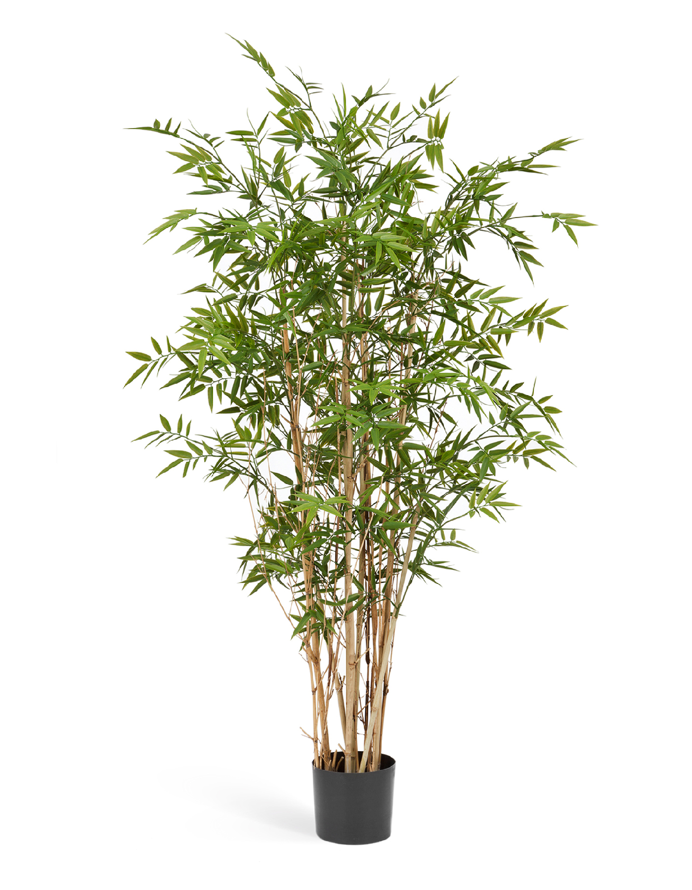Бамбук Новый Японский Элегант 150 см 2/2