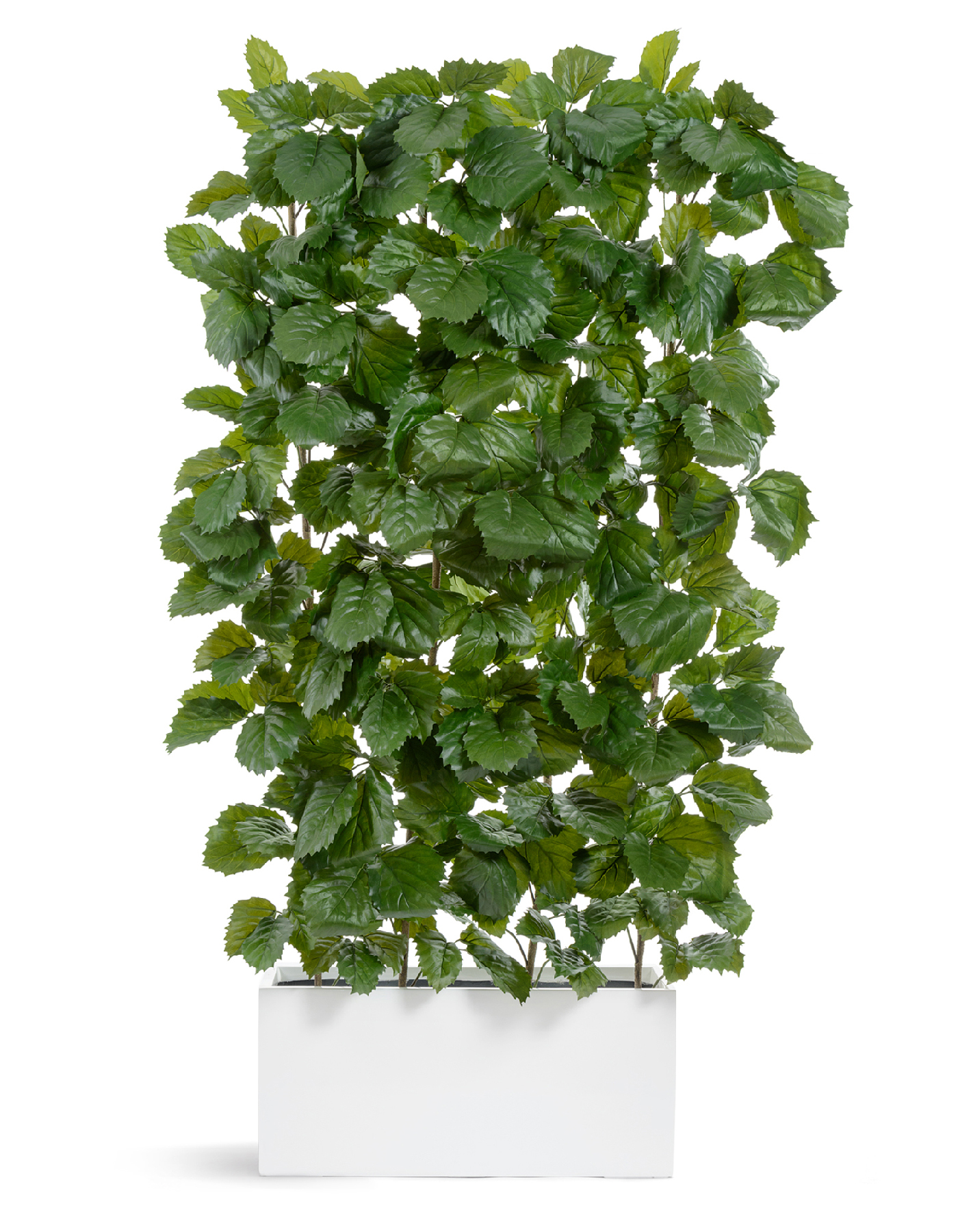 Дополнительные фото 4