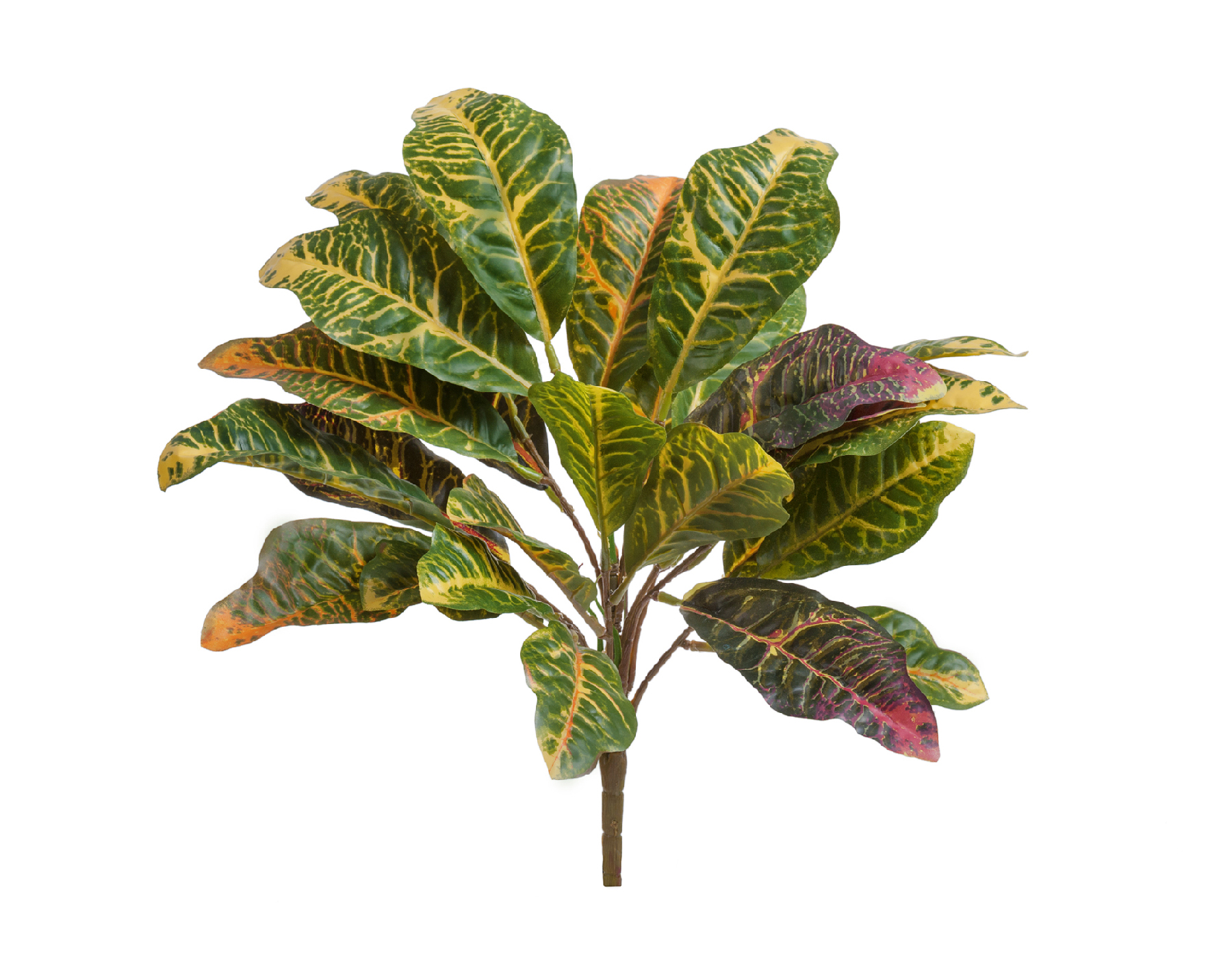 Дополнительные фото 1