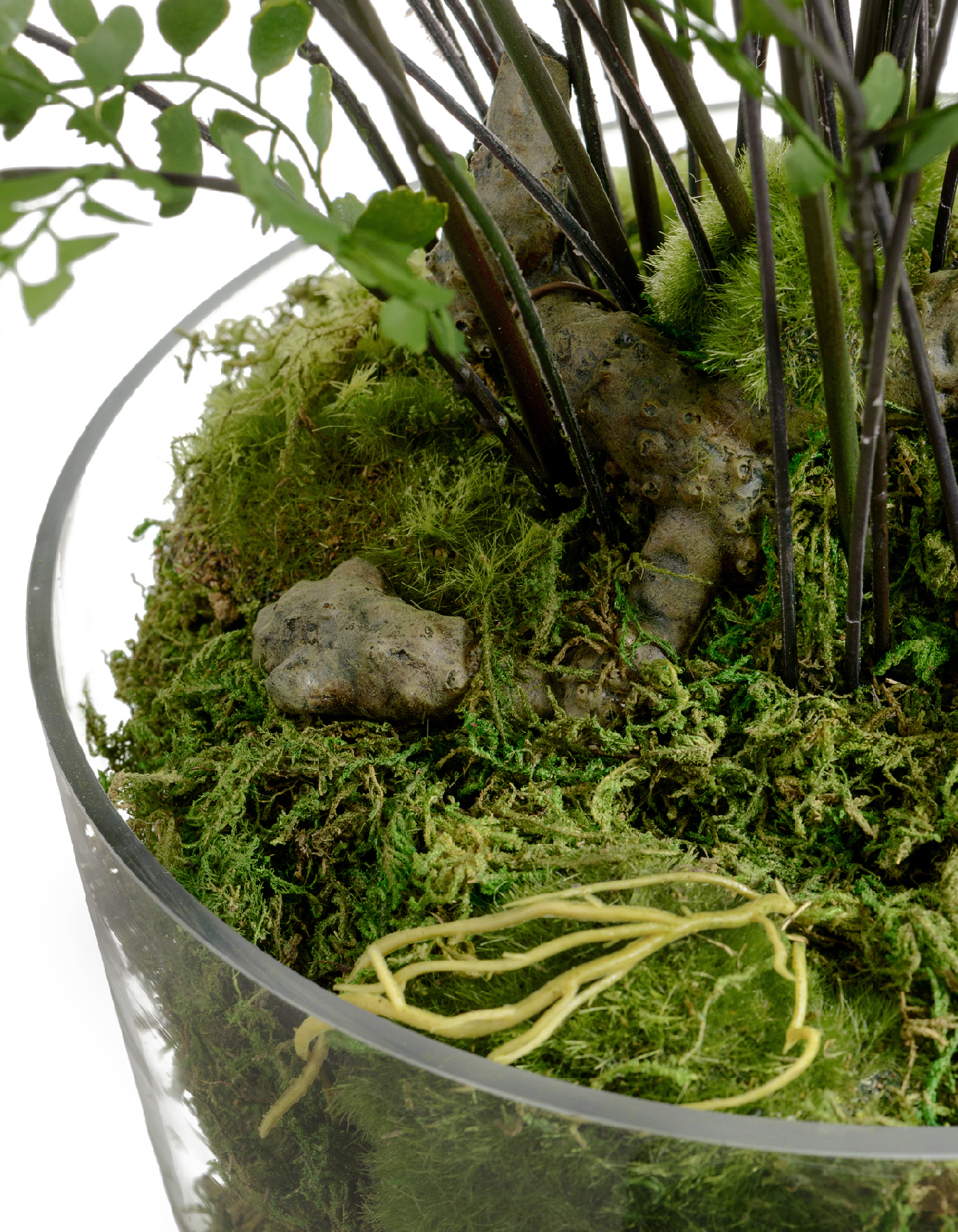 Дополнительные фото 2