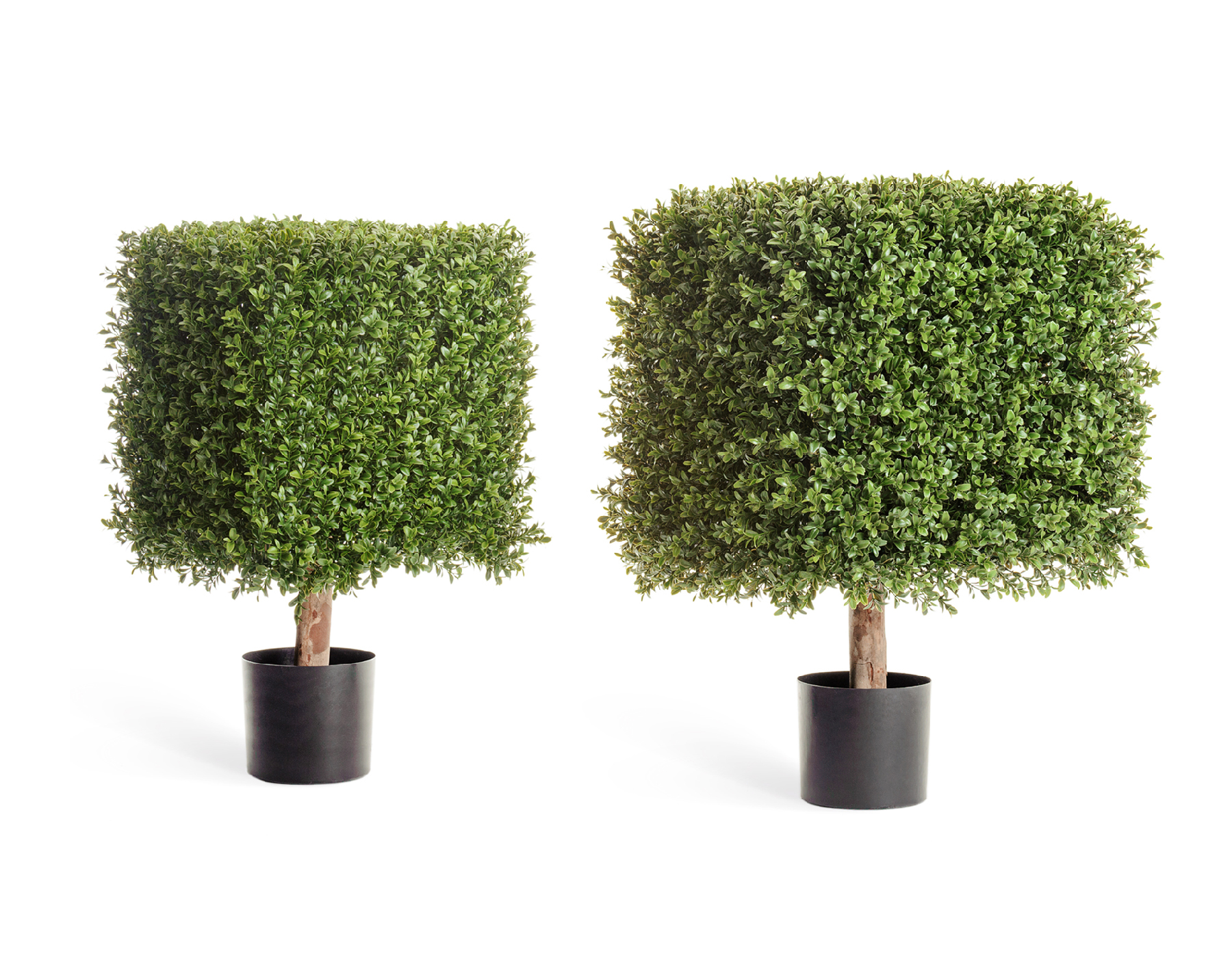 Дополнительные фото 3