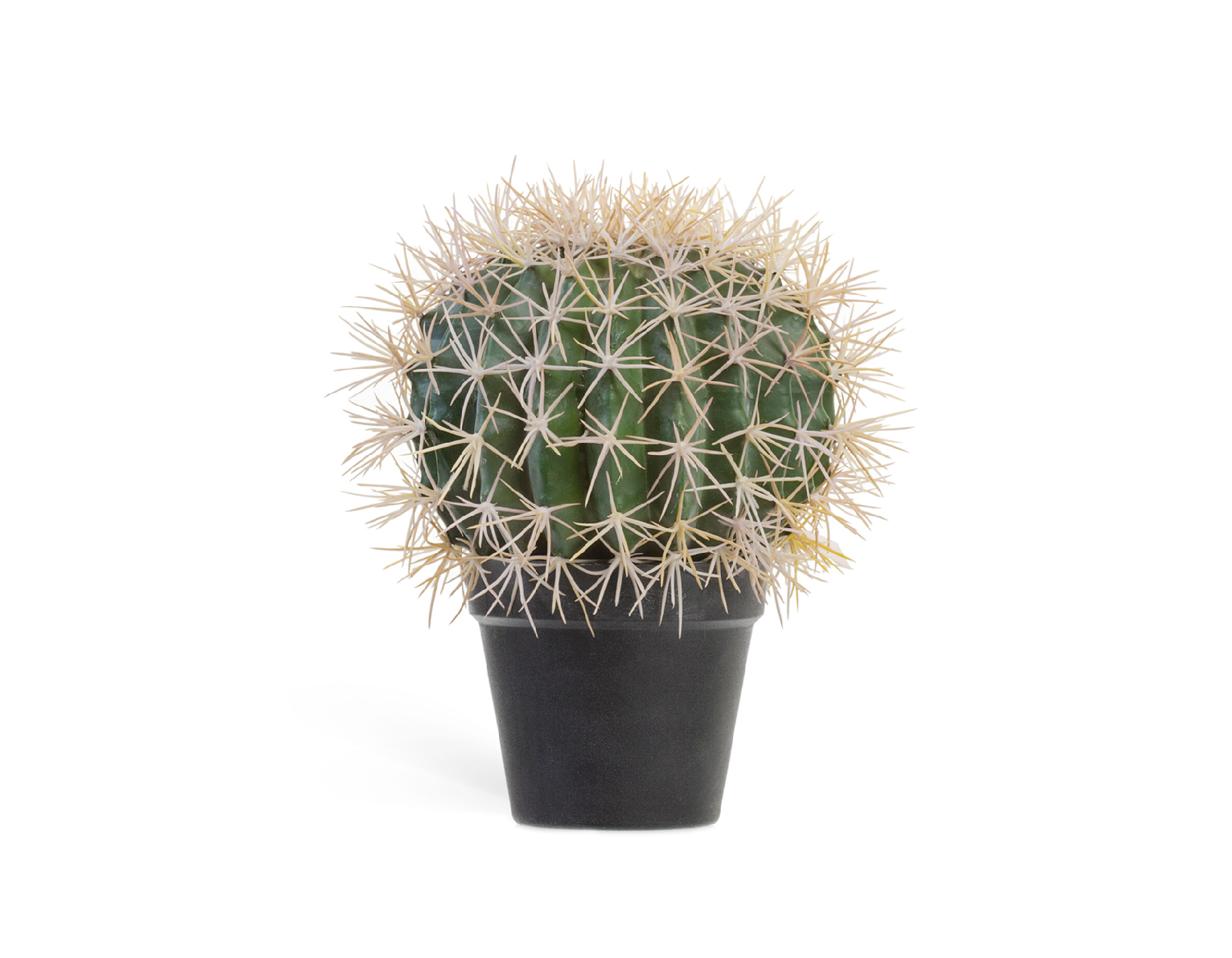 Кактус Баррель в-27, д-20 см 4/8