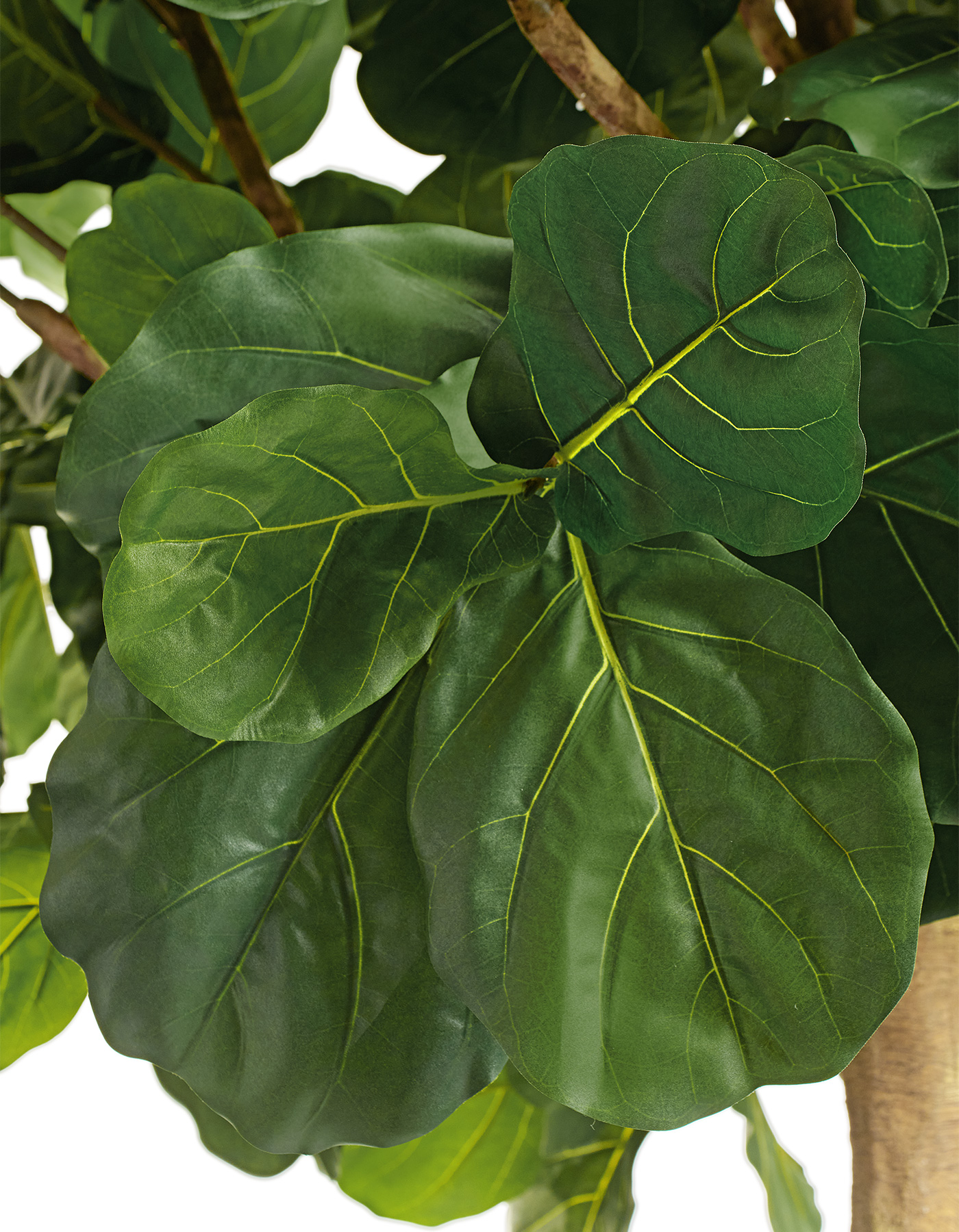 Дополнительные фото 7