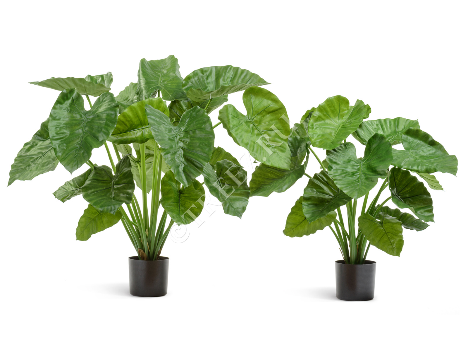 Дополнительные фото 1