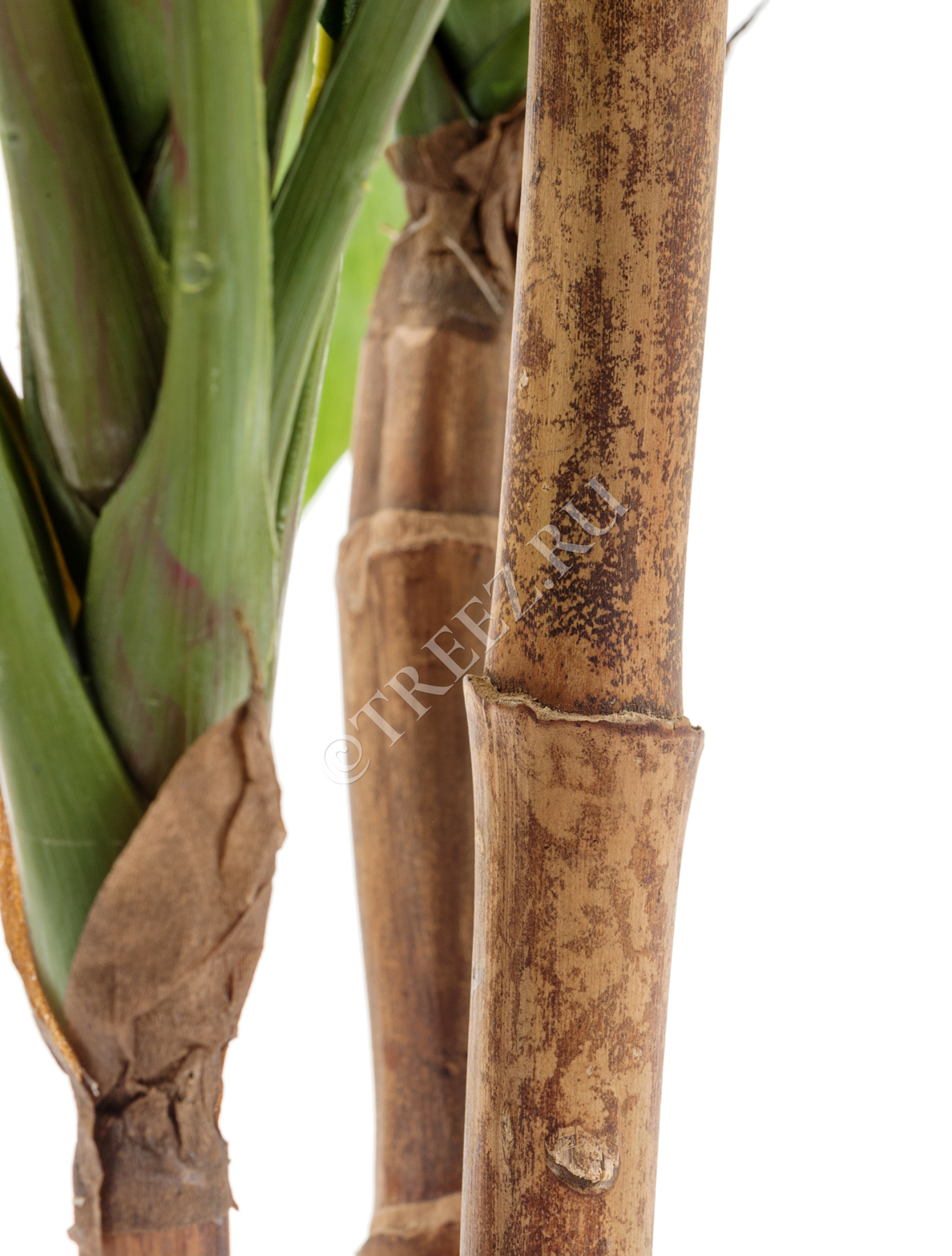 Дополнительные фото 2