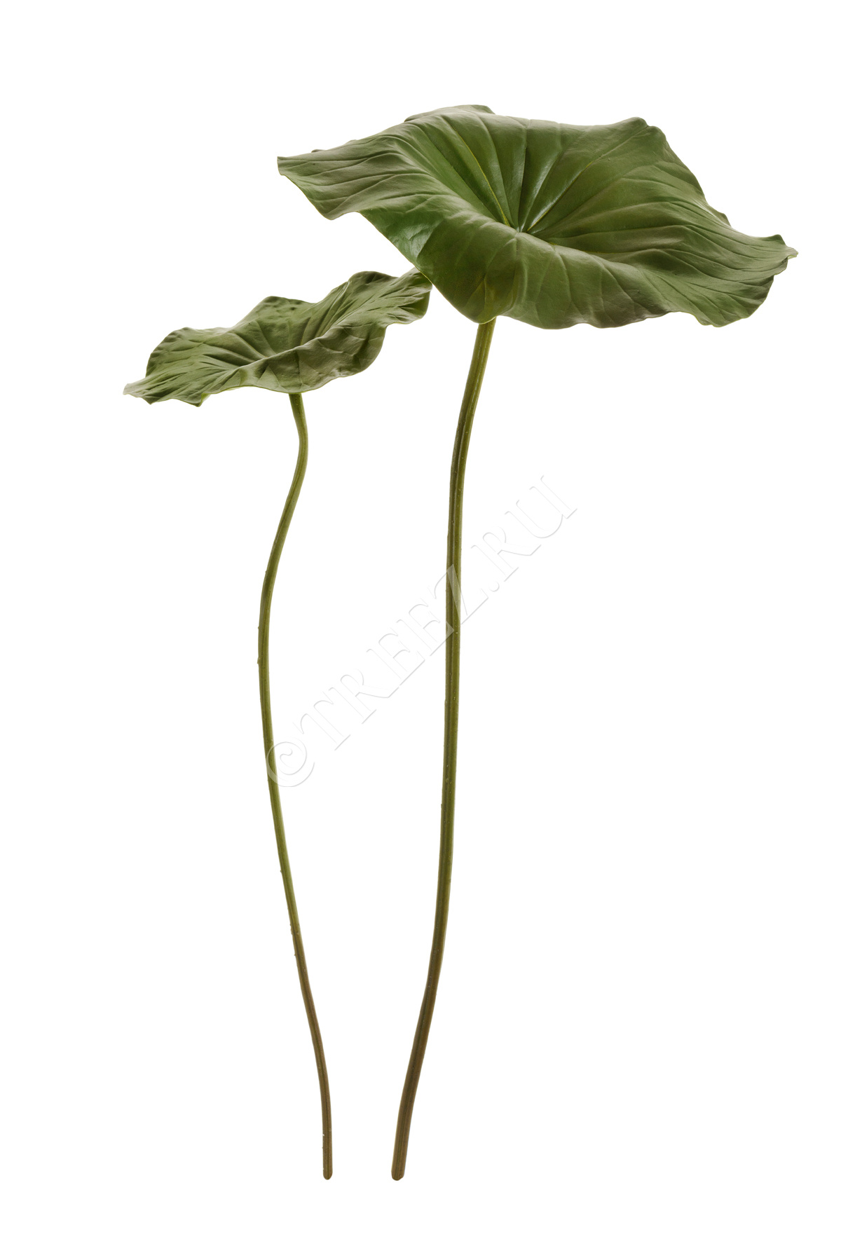 Дополнительные фото 2