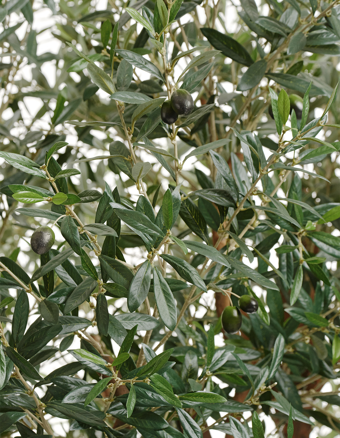 Дополнительные фото 4