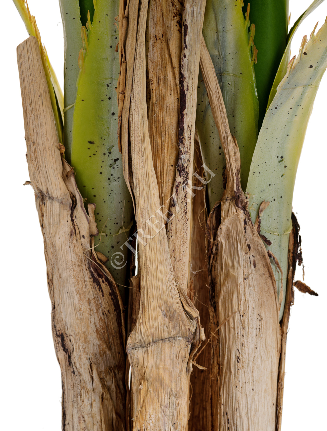 Дополнительные фото 2