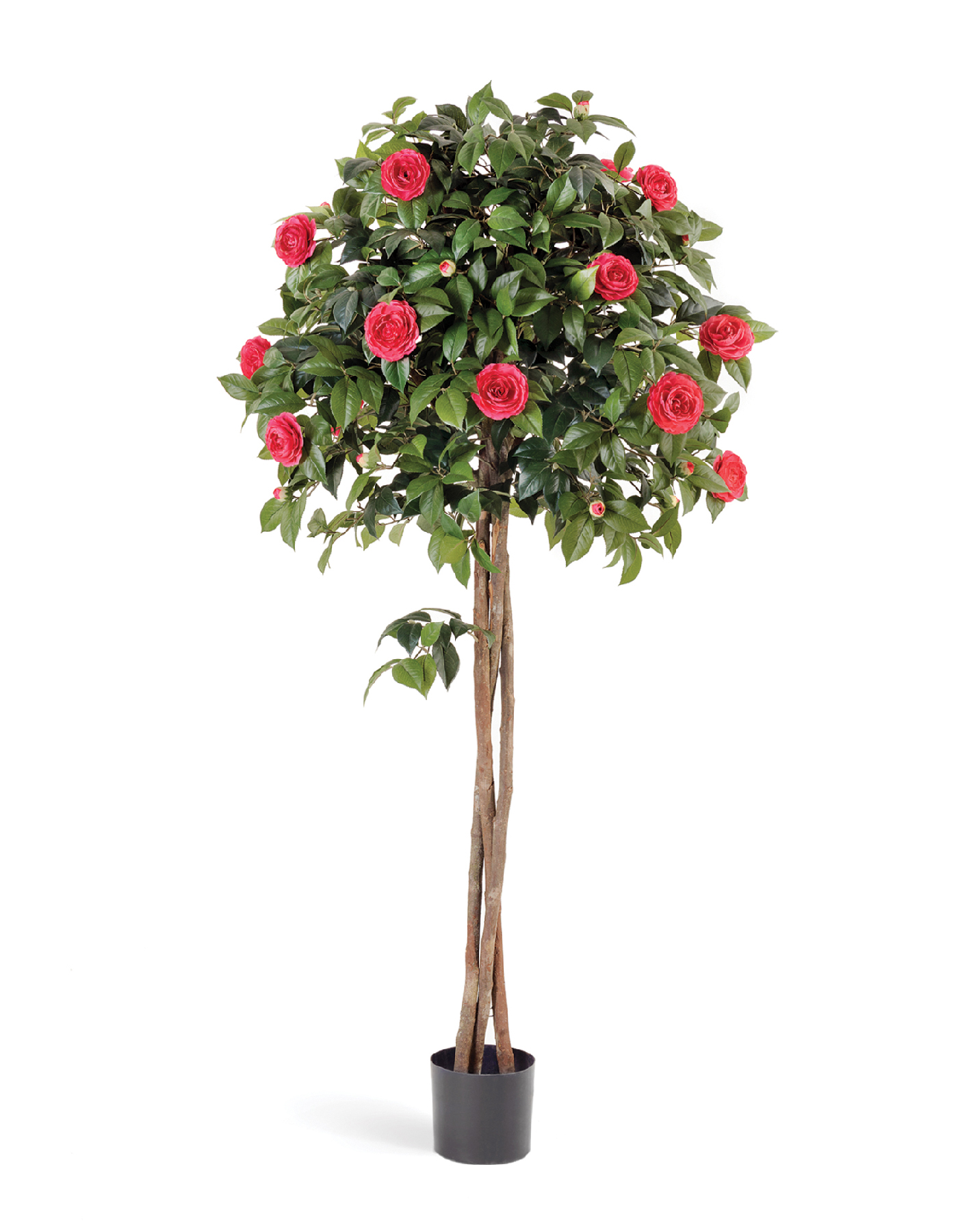 Дополнительные фото 2