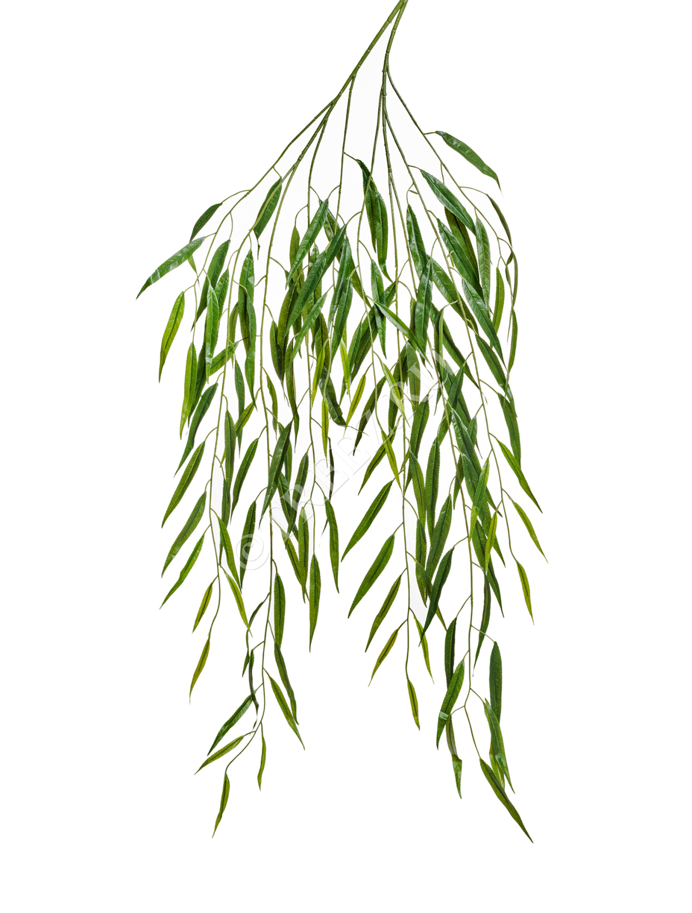 Ветвь Ивы 135 см 12/120