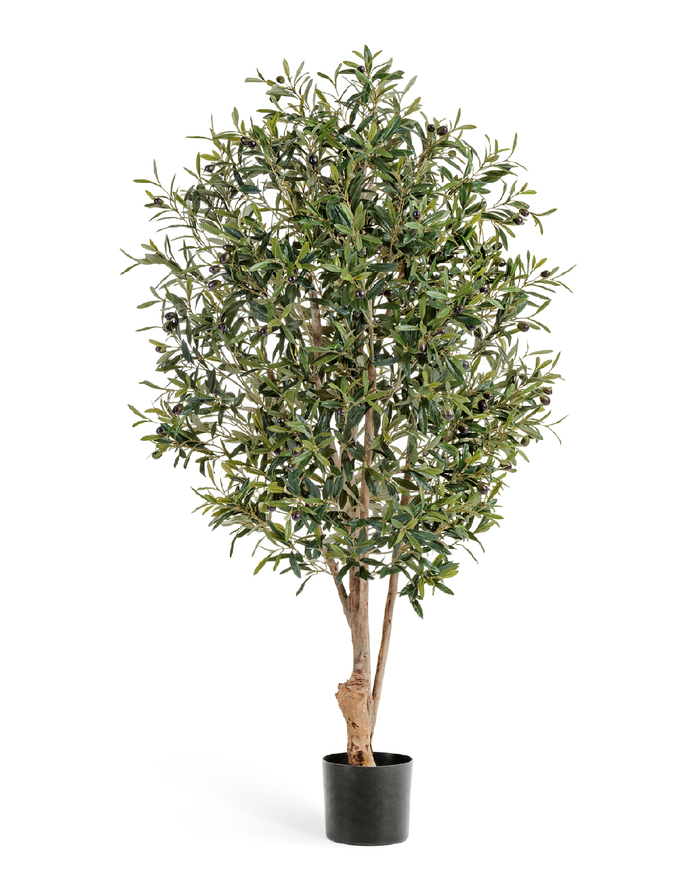 Олива Твист с плодами в-110 см 2/2