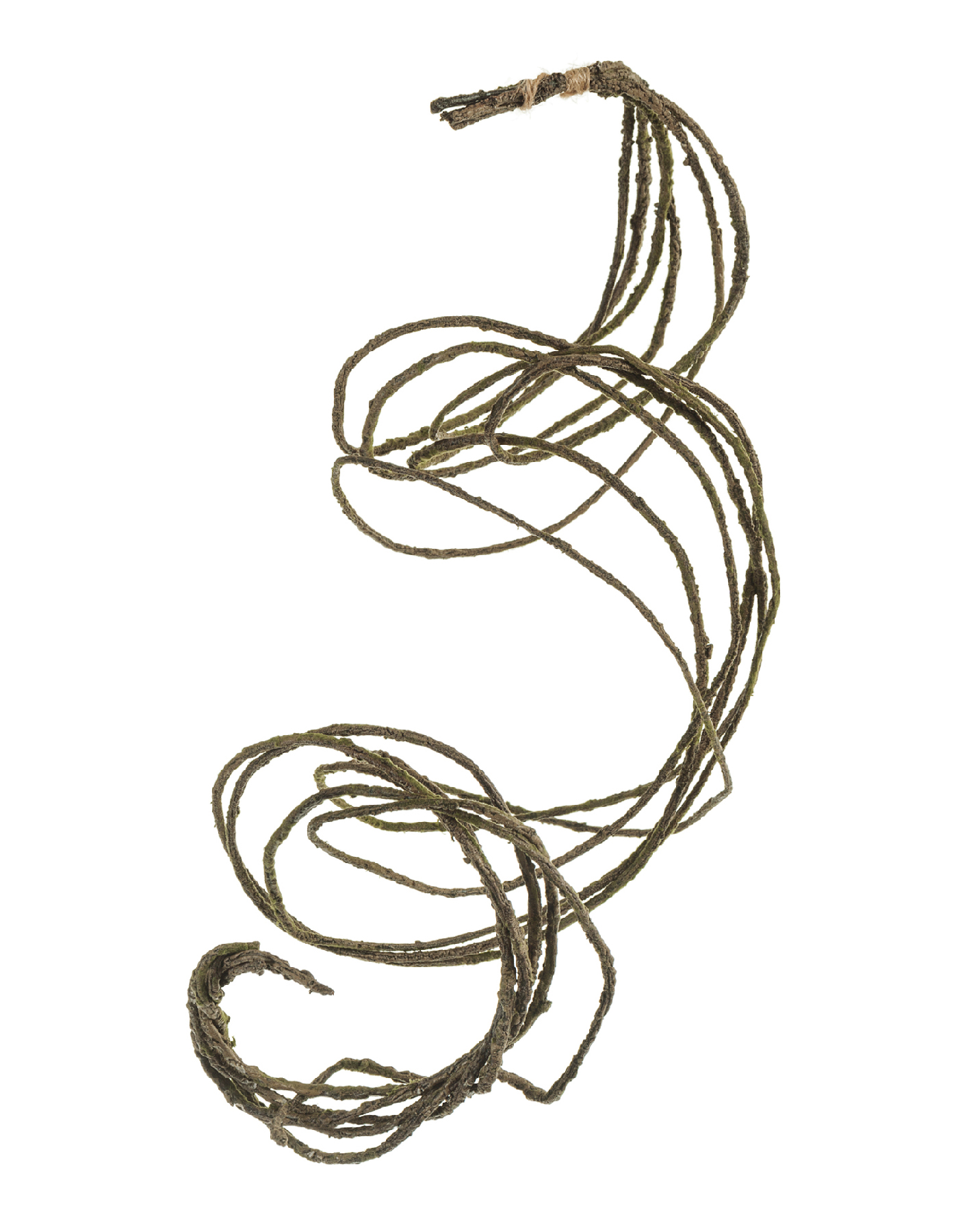 Дополнительные фото 2