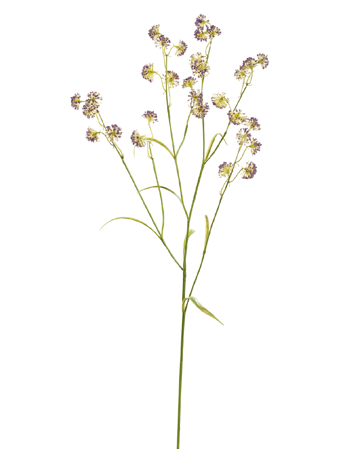 Астранция Вайлд фиолетовая в-80 см, 3 ветки 12/72