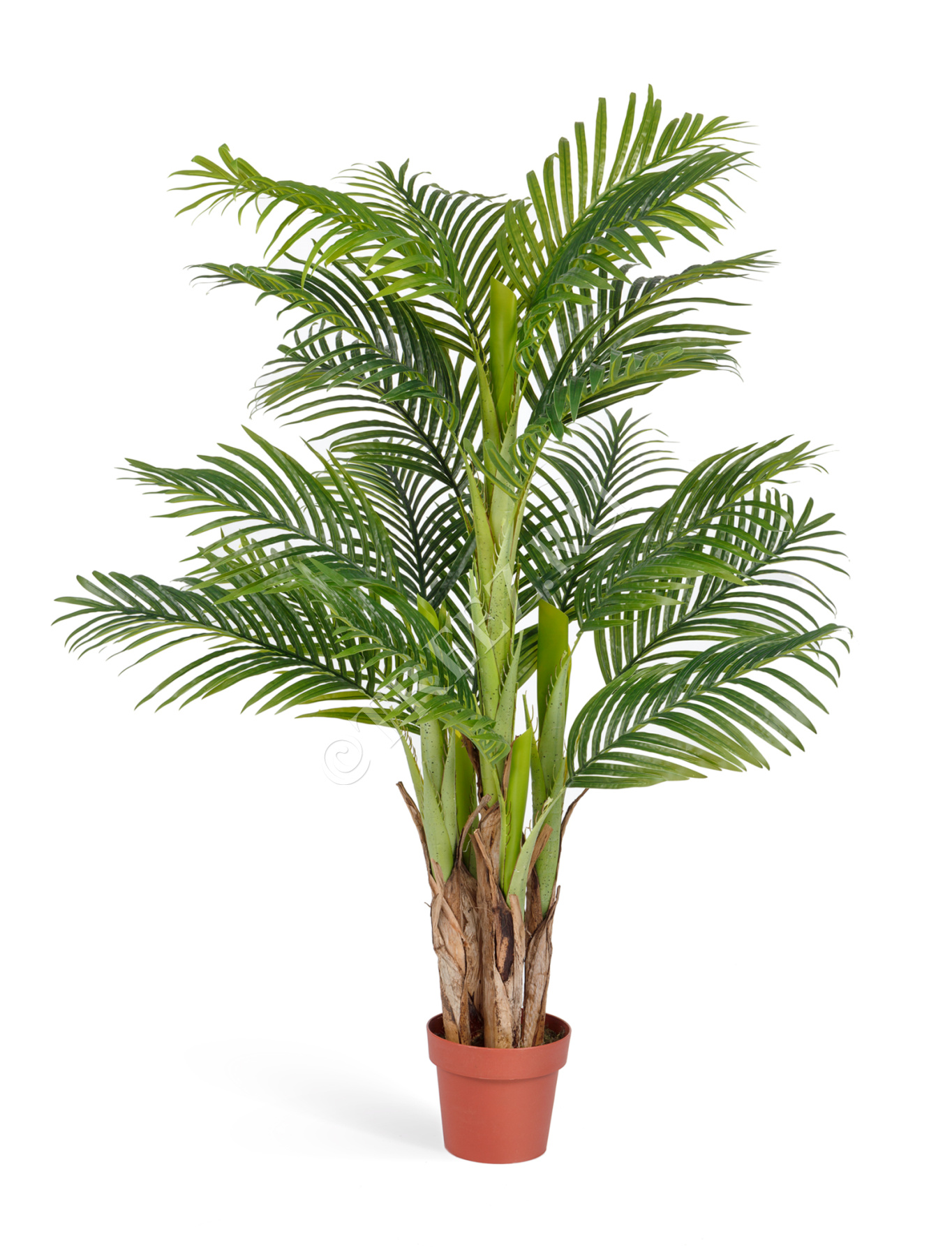 Пальма Арека Катеху в-140 см (Sensitive Botanic) (5 стволов, 18 листьев) 2/2
