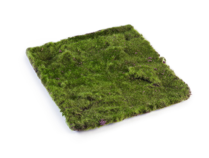Мох Квадратный 30х30 см 6/24