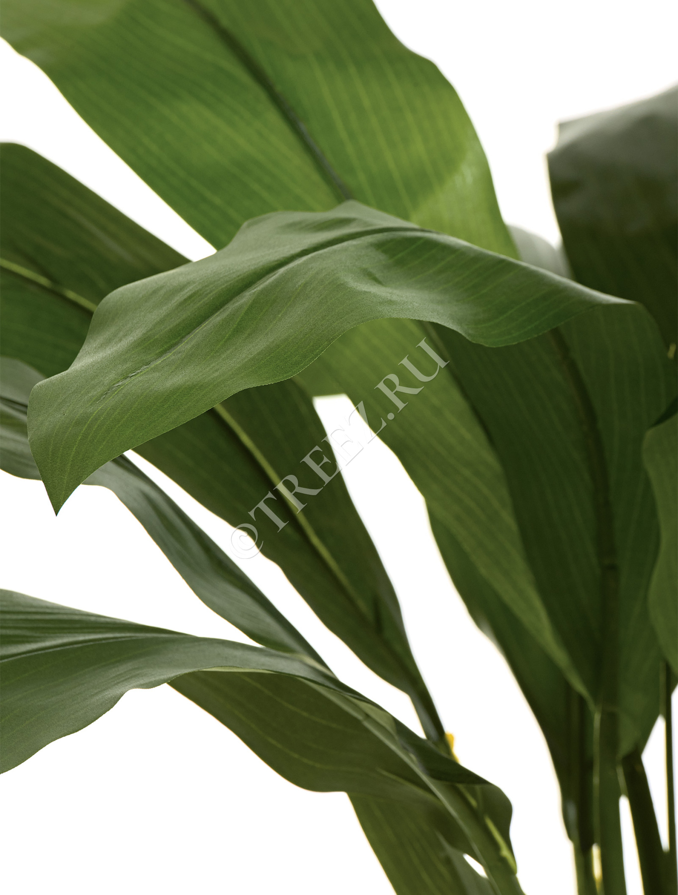 Дополнительные фото 3