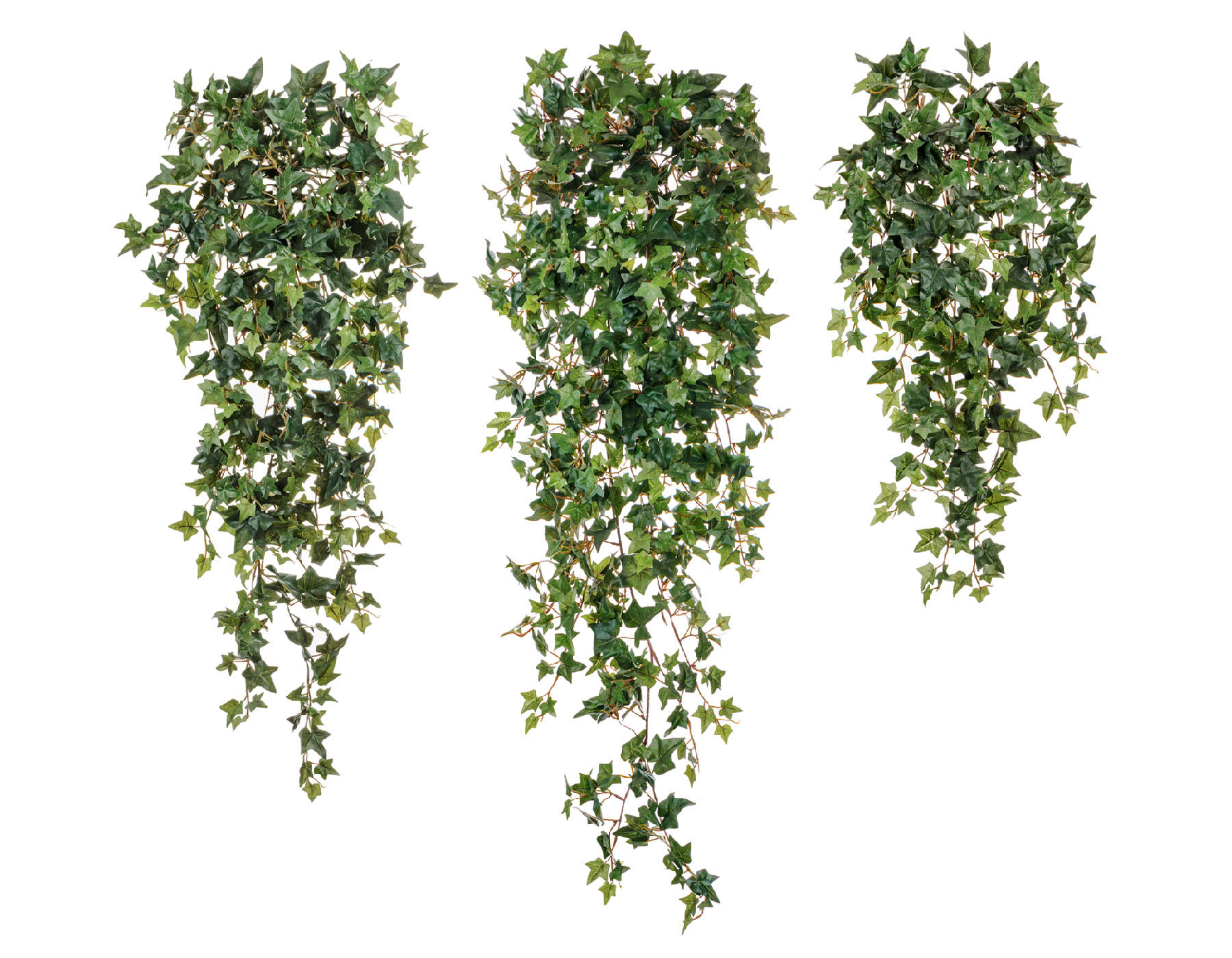 Дополнительные фото 1