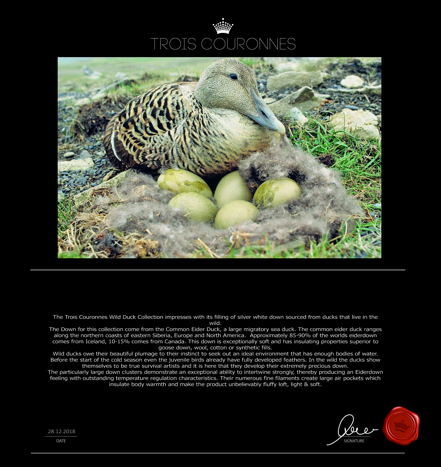 Дополнительные фото 5