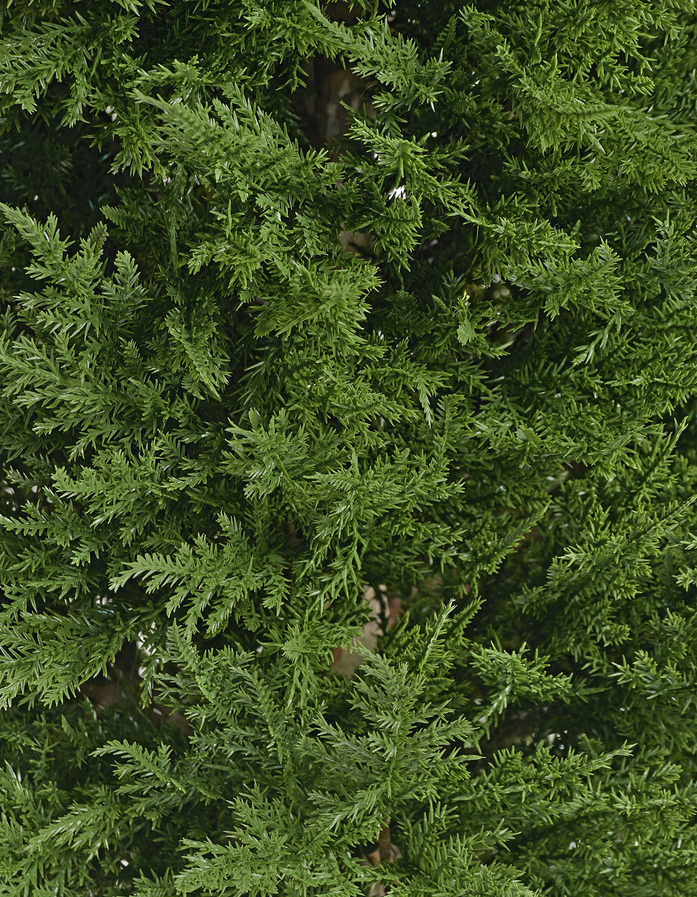 Дополнительные фото 3