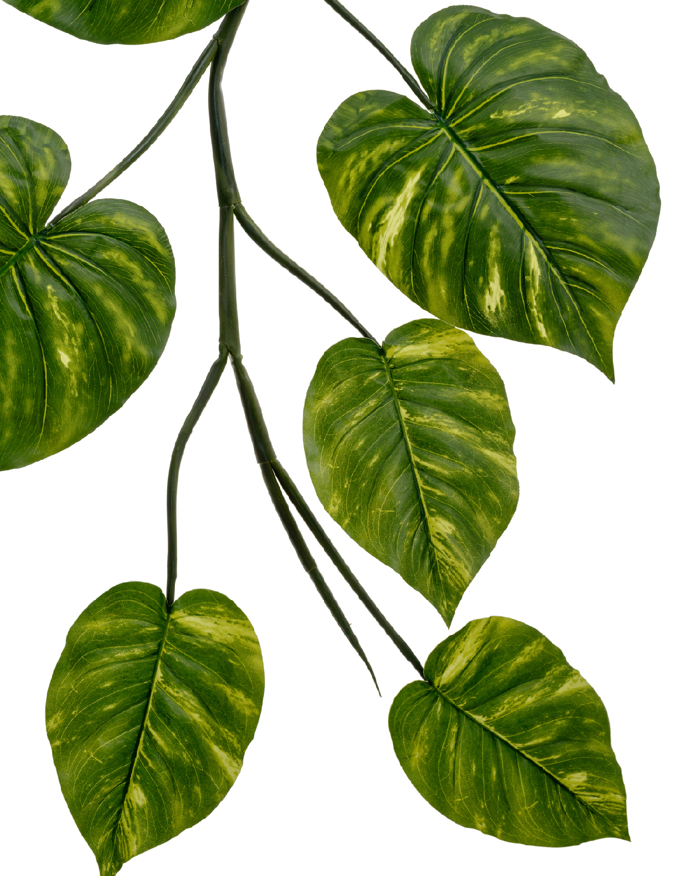 Дополнительные фото 5