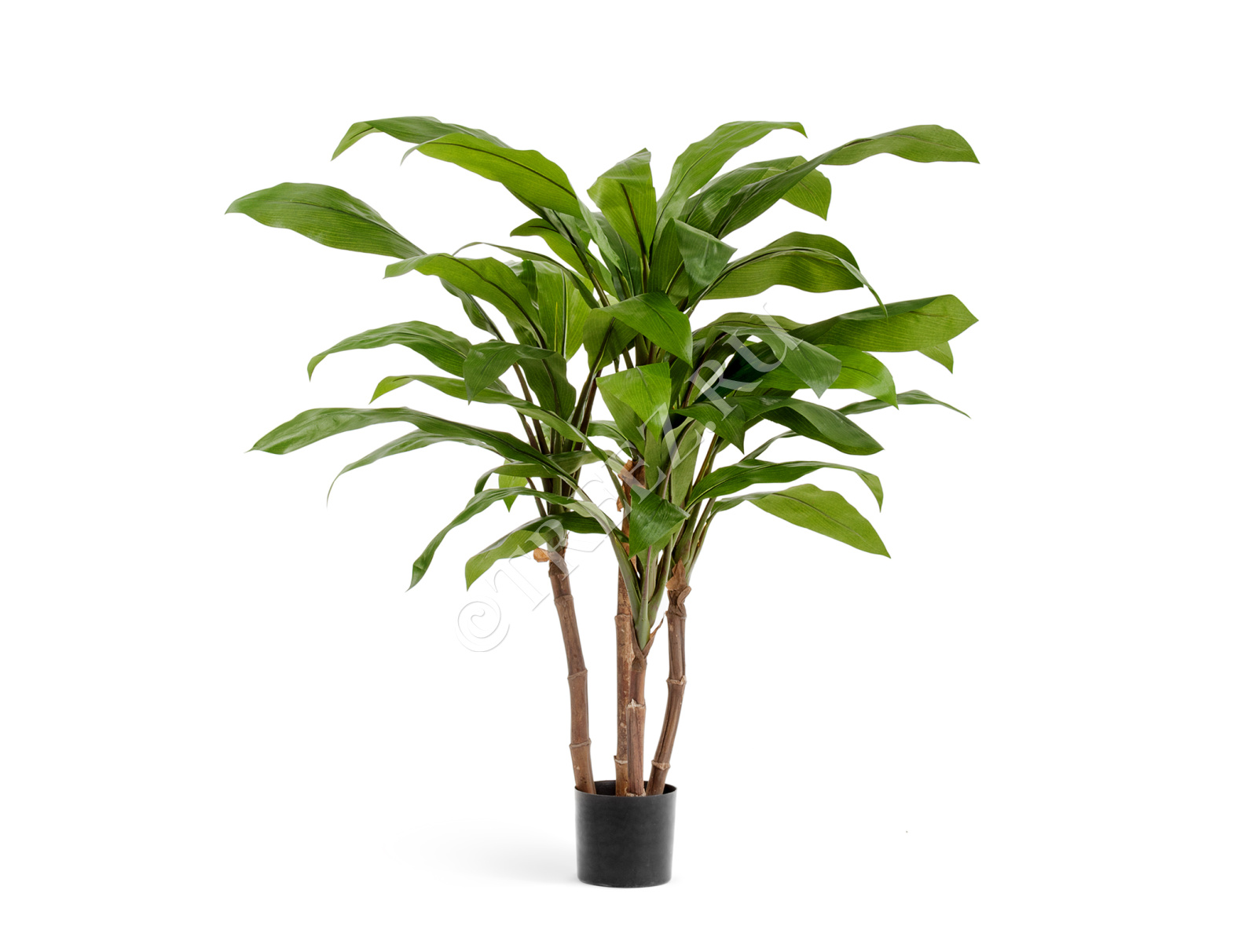 Дополнительные фото 1