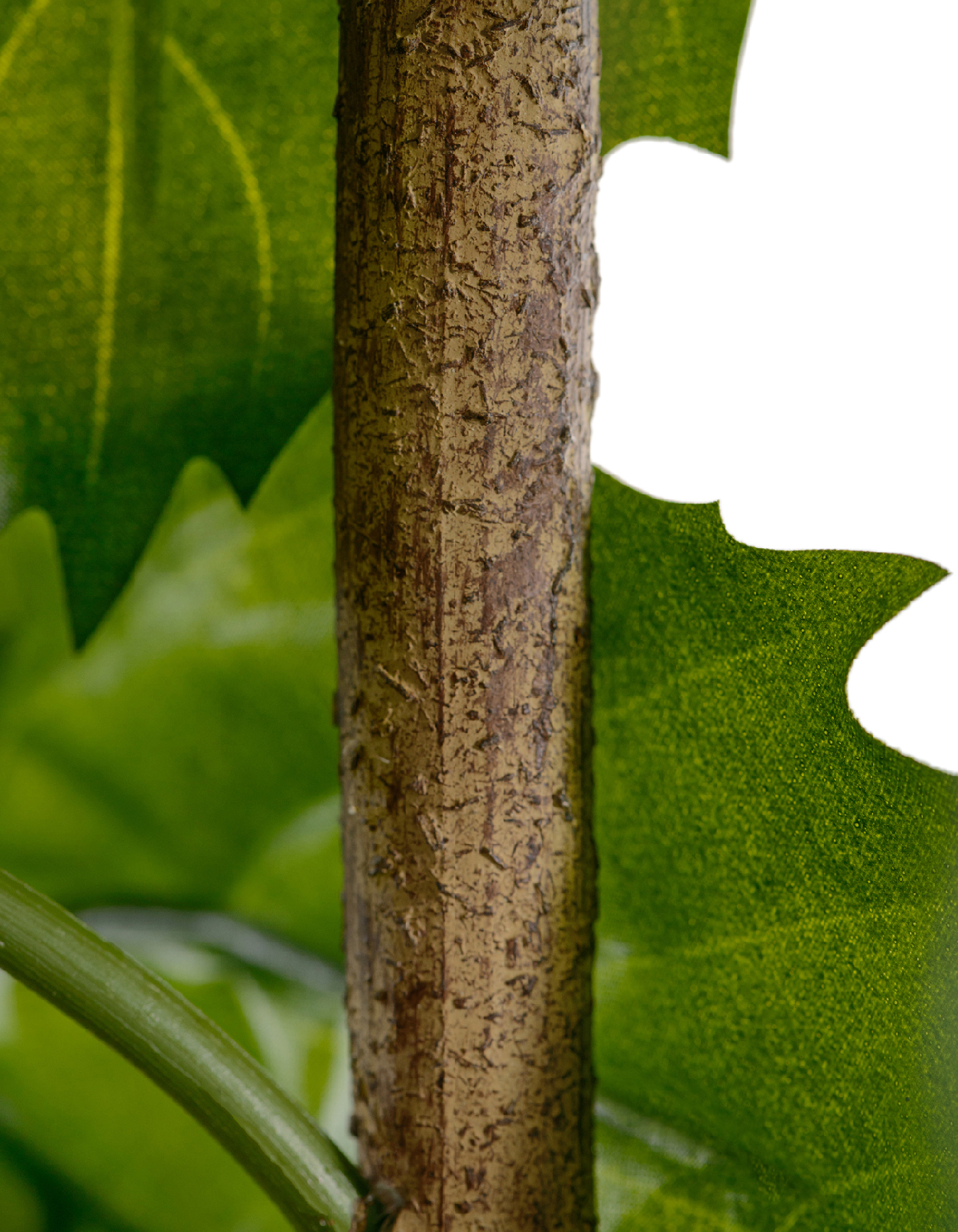 Дополнительные фото 2