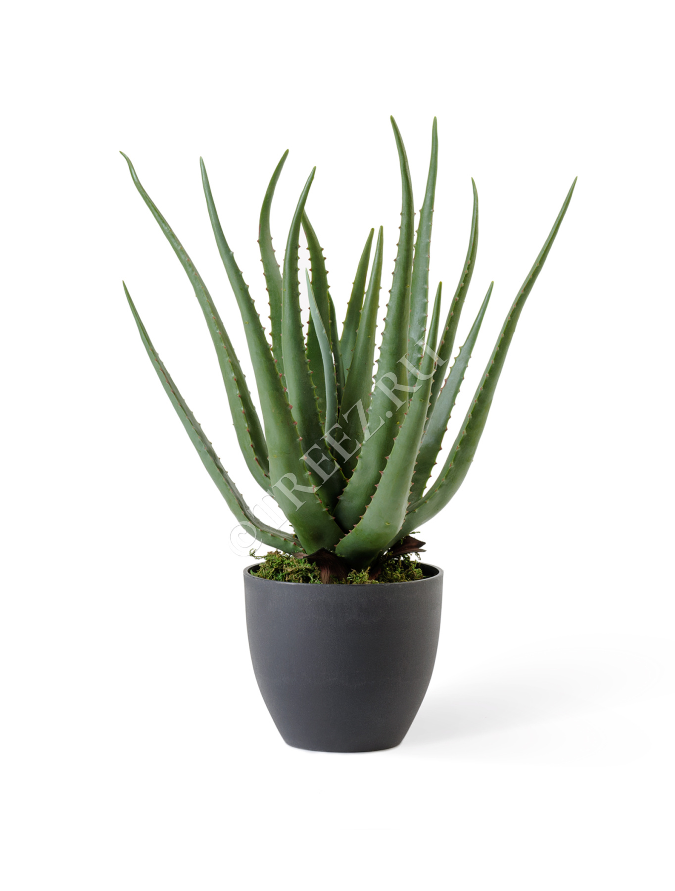 Дополнительные фото 1