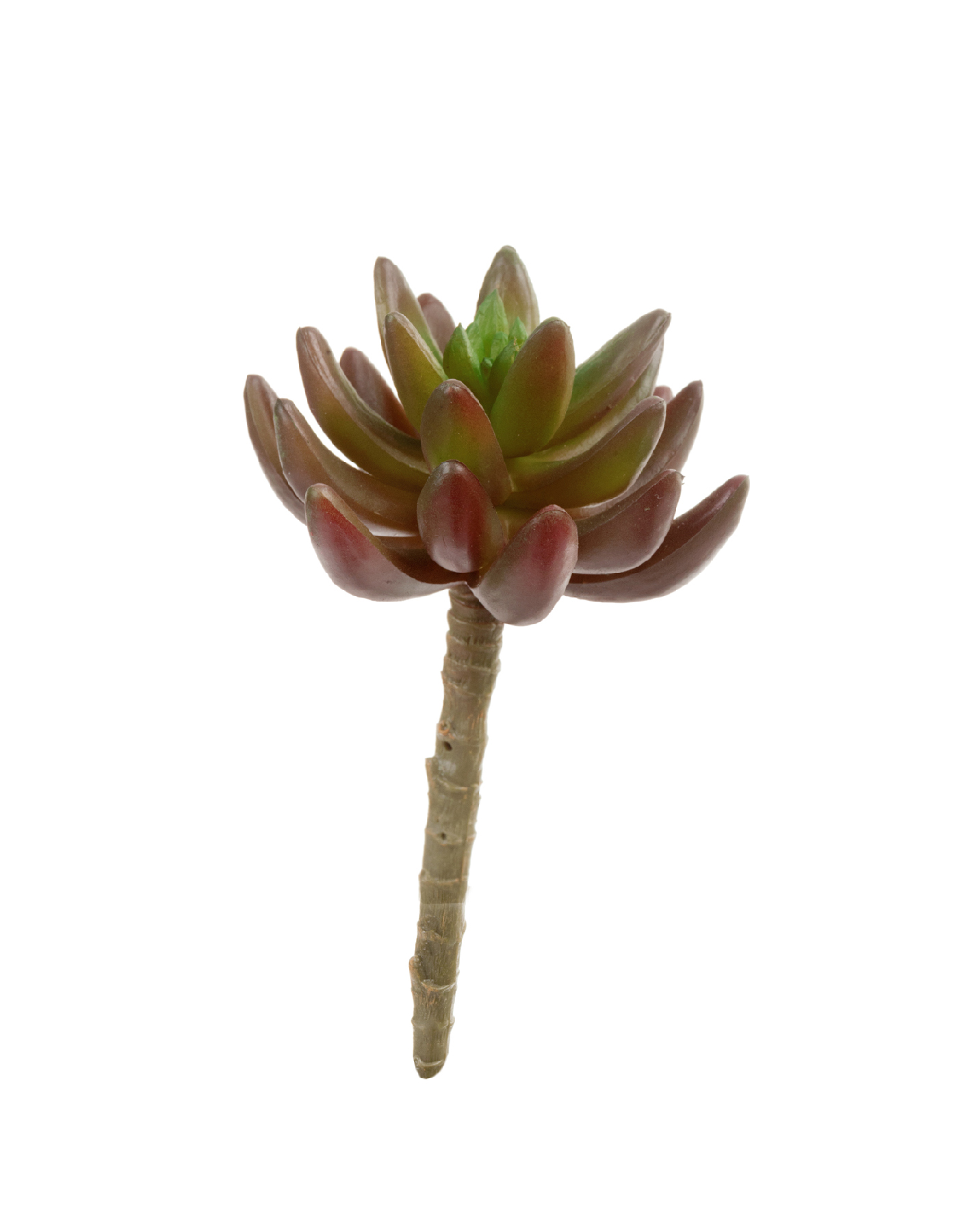 Дополнительные фото 1