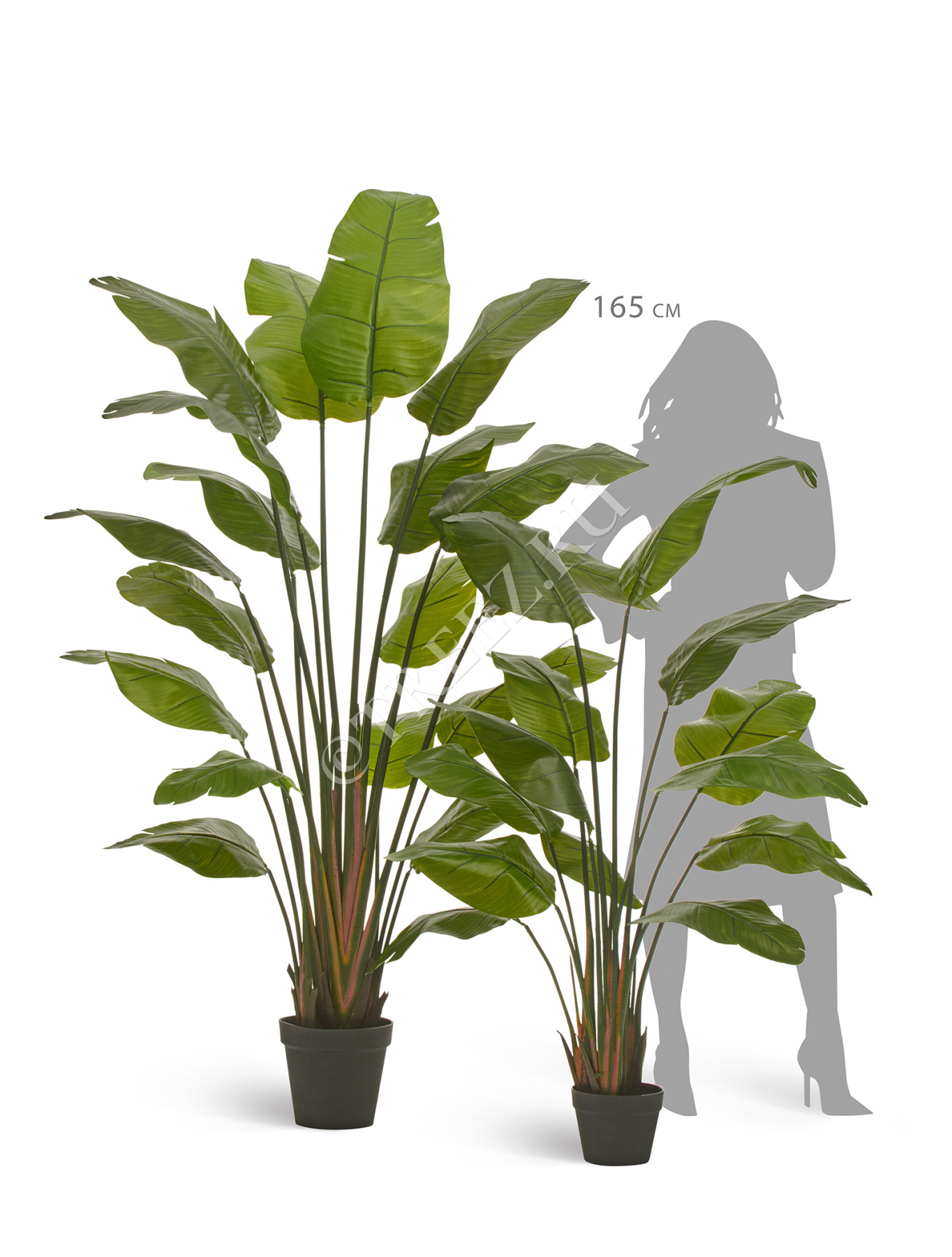 Дополнительные фото 5