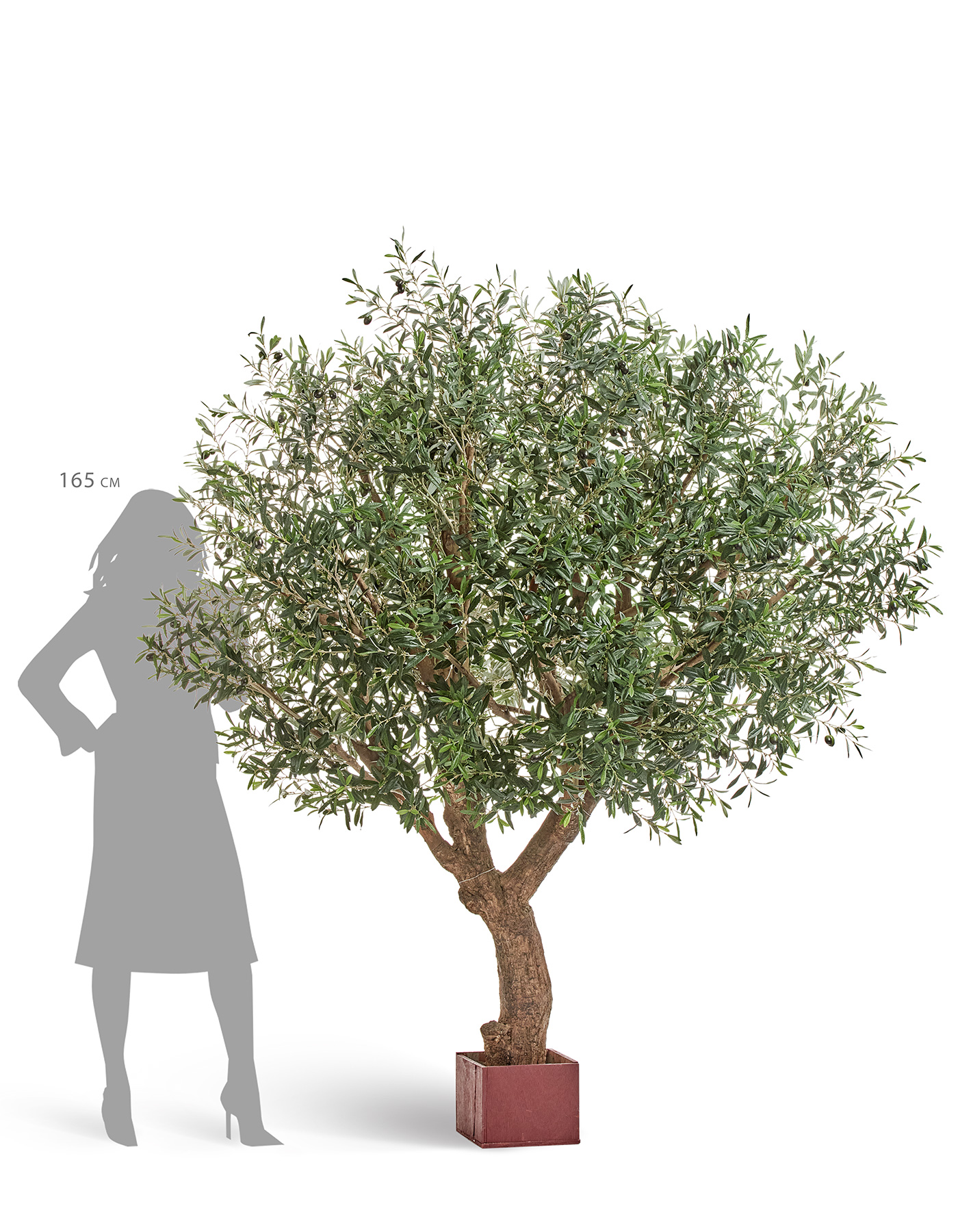 Дополнительные фото 6