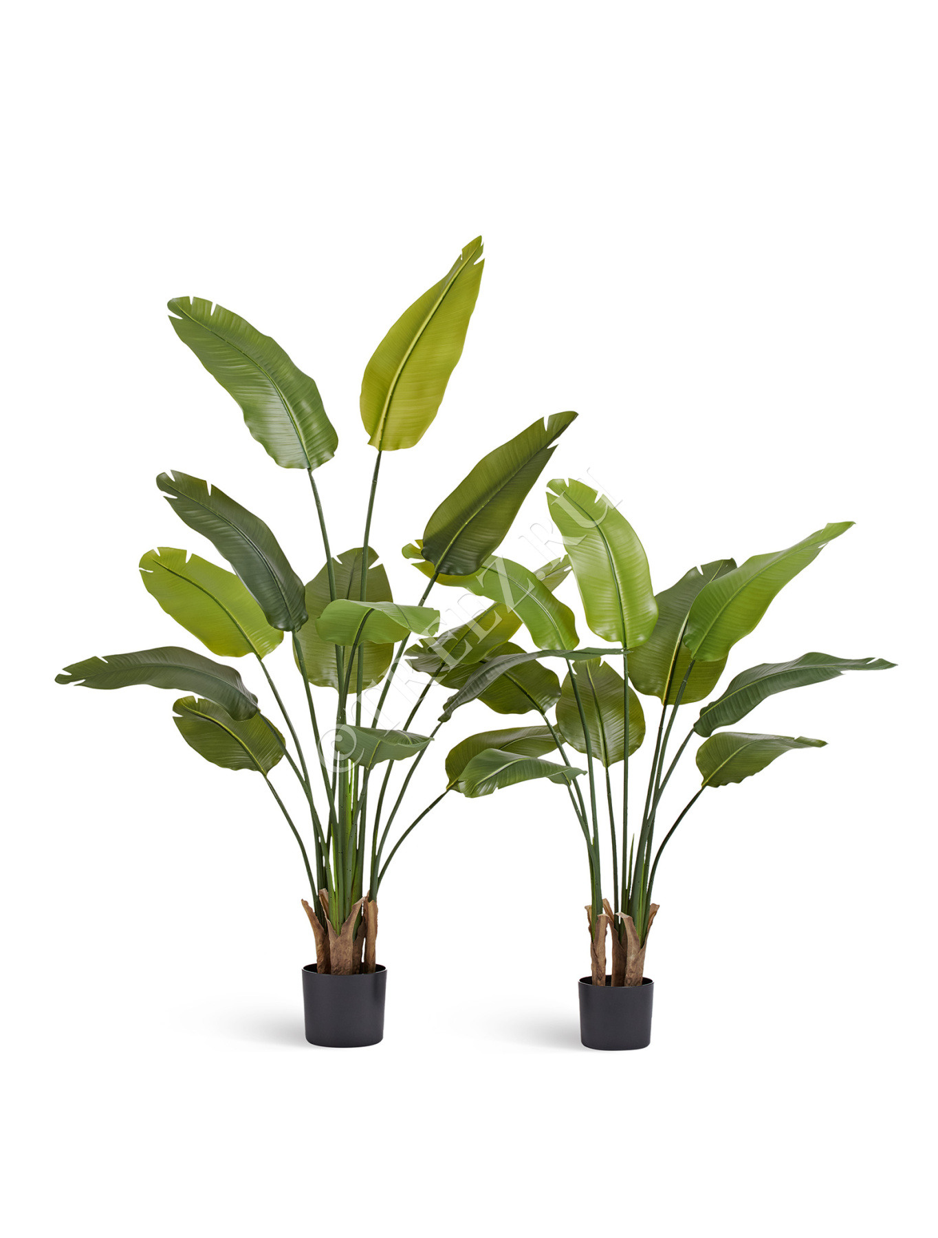 Дополнительные фото 3