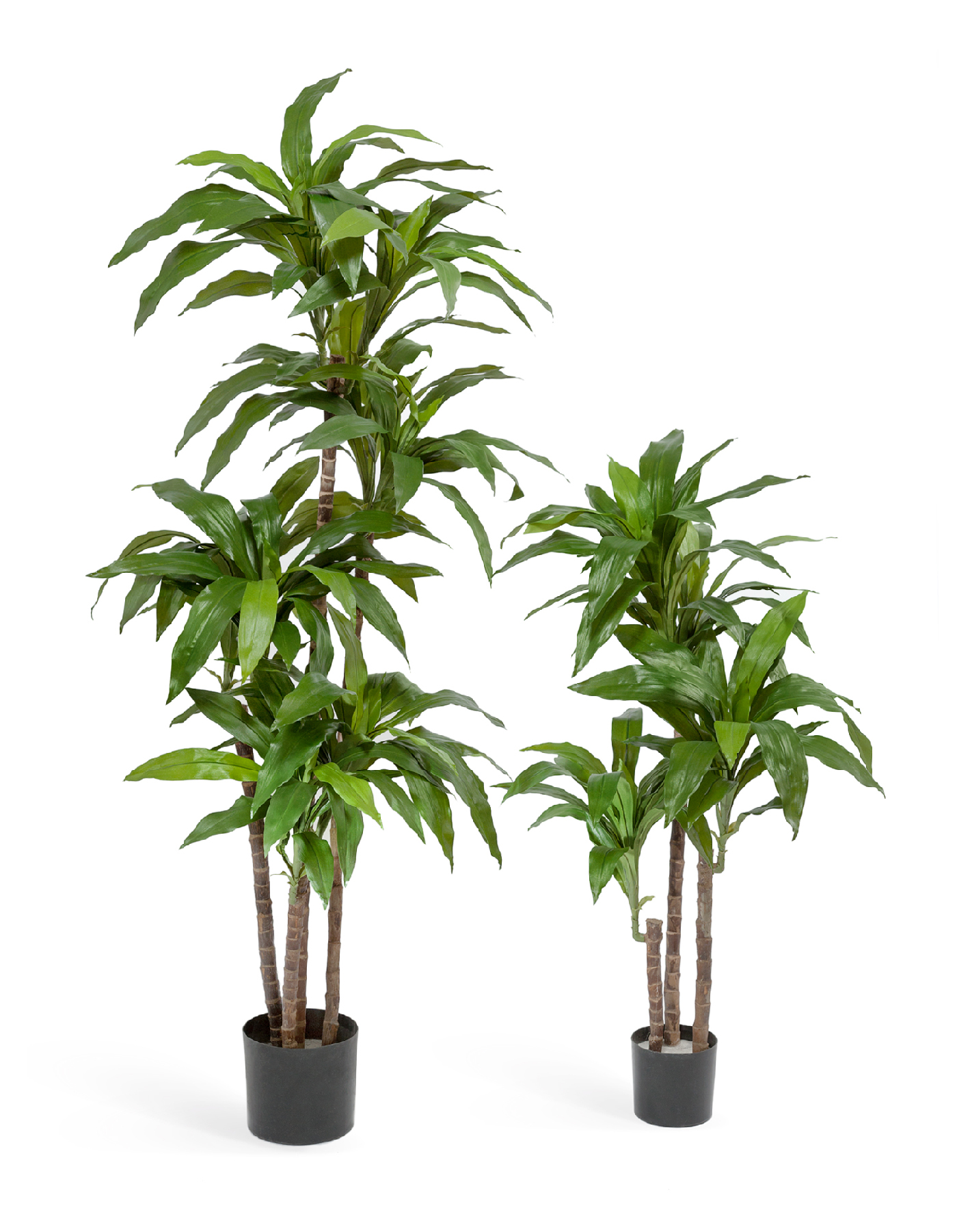 Дополнительные фото 1