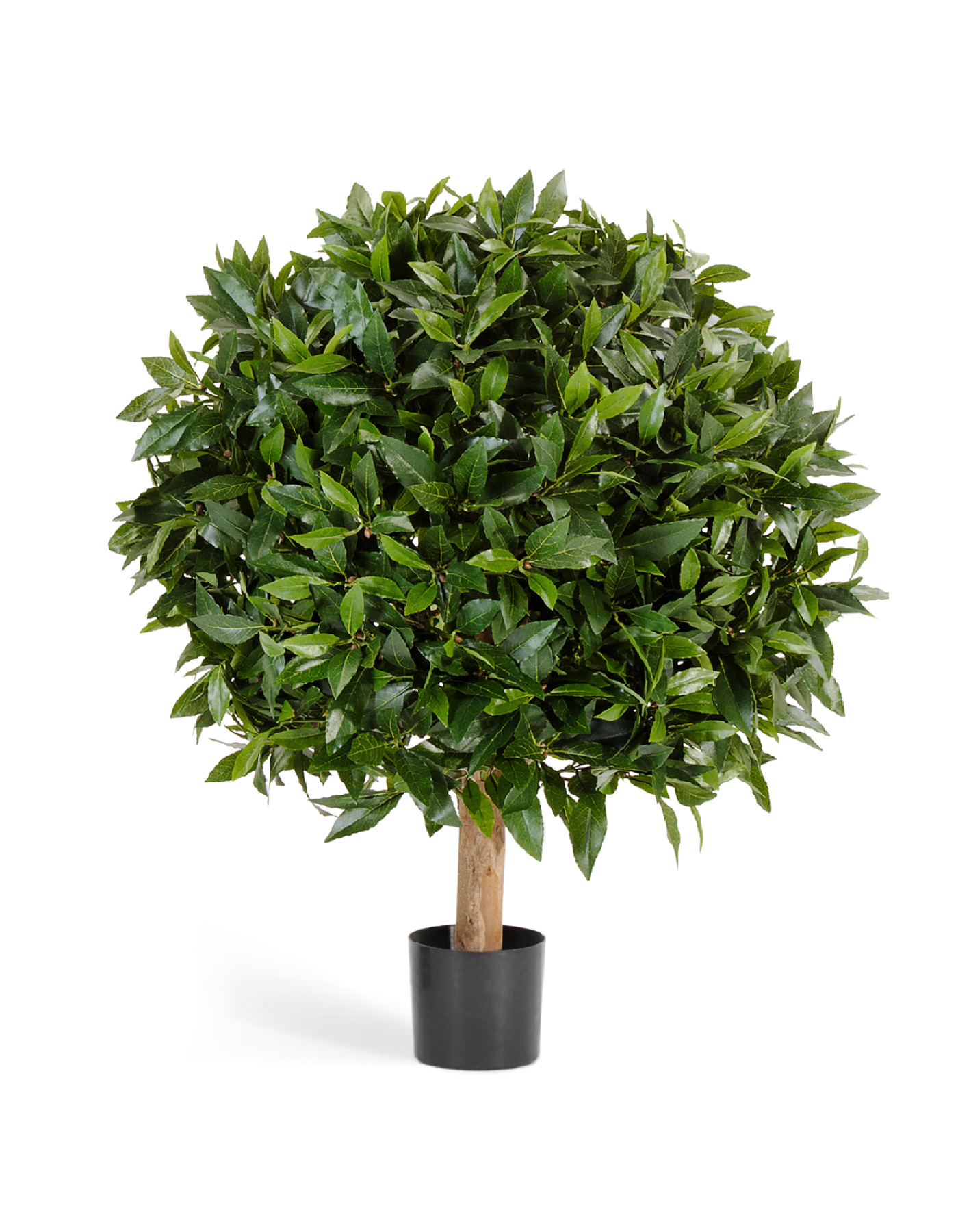 Дополнительные фото 1