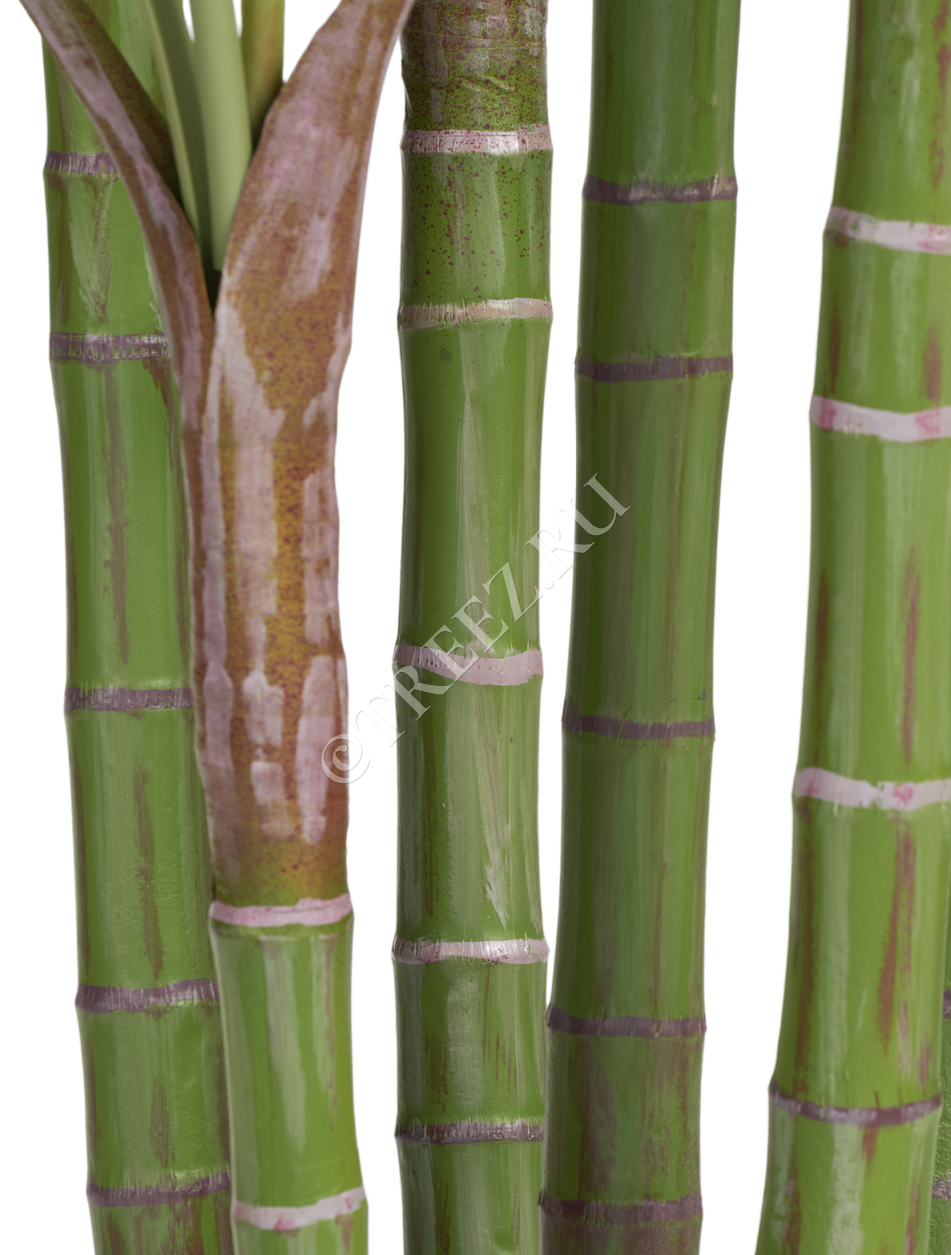 Дополнительные фото 3