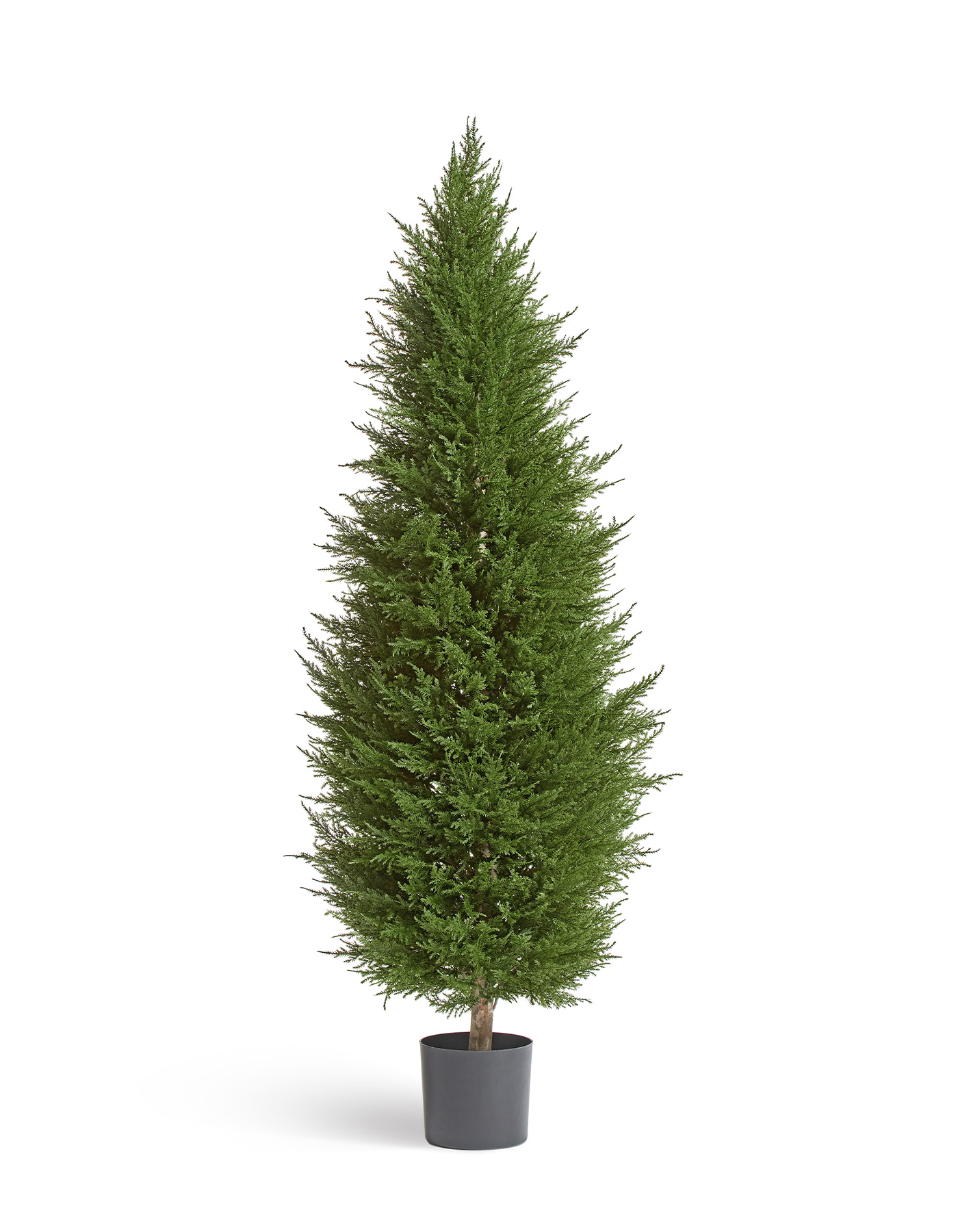 Дополнительные фото 1