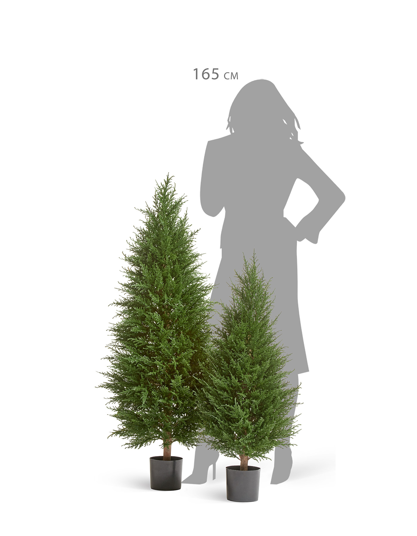 Дополнительные фото 2