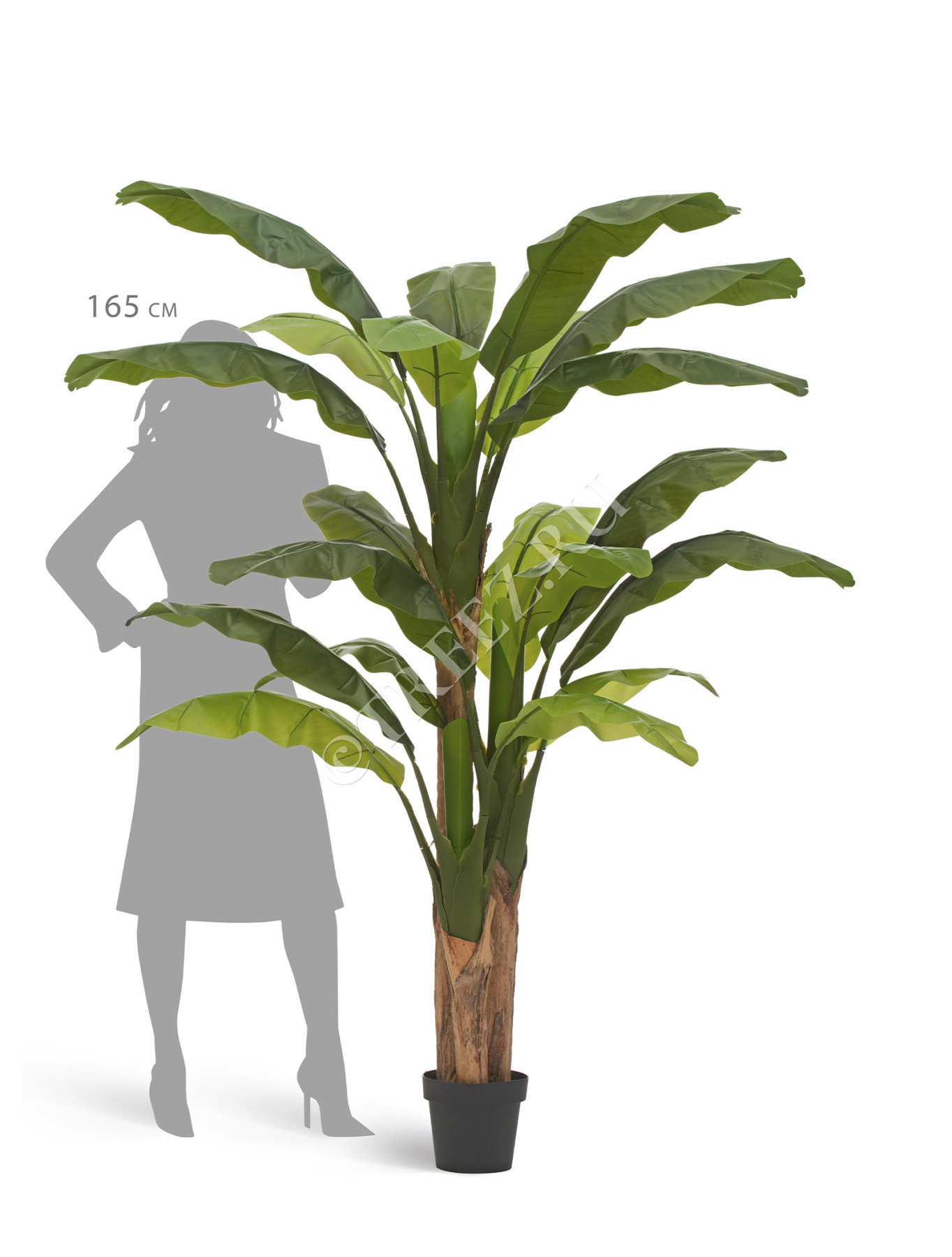 Дополнительные фото 1