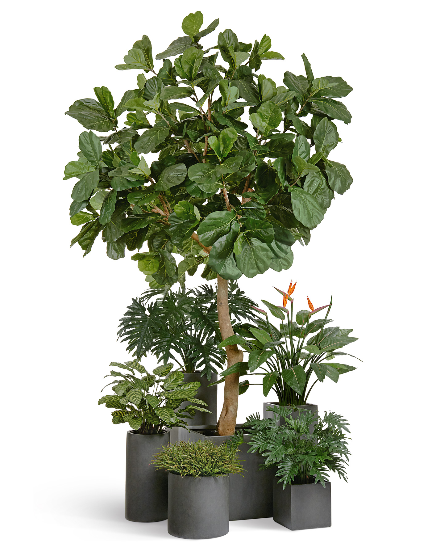 Дополнительные фото 2