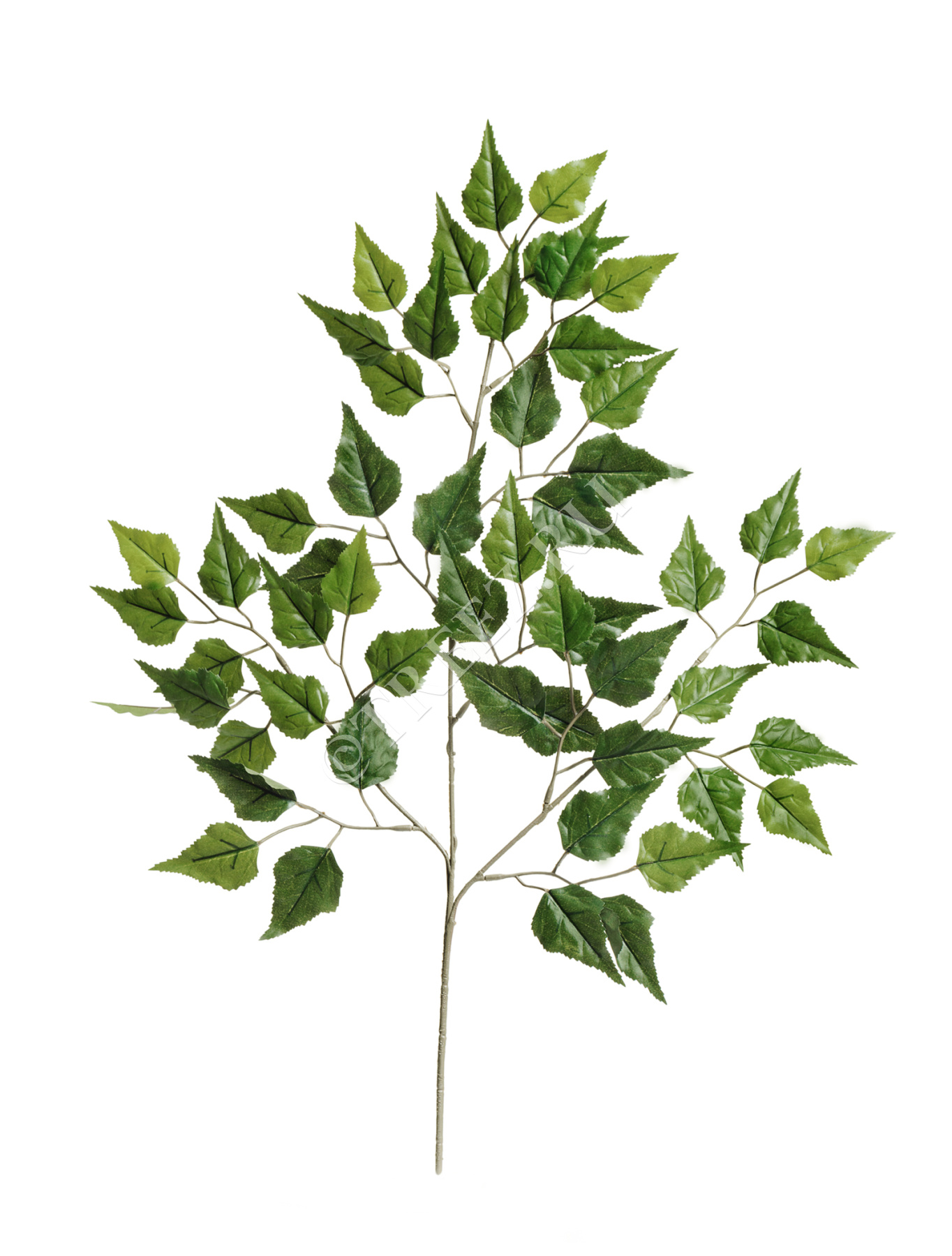 Ветка березы 65 см 24/240