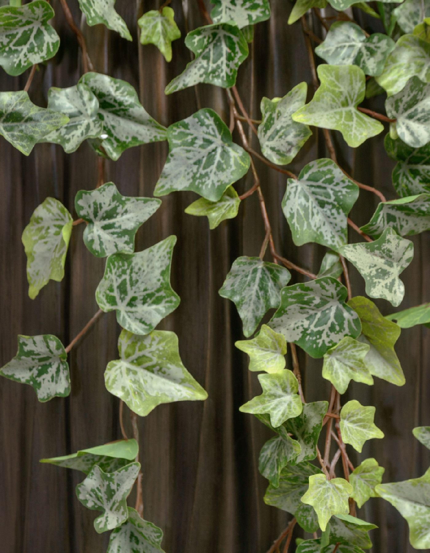 Дополнительные фото 3