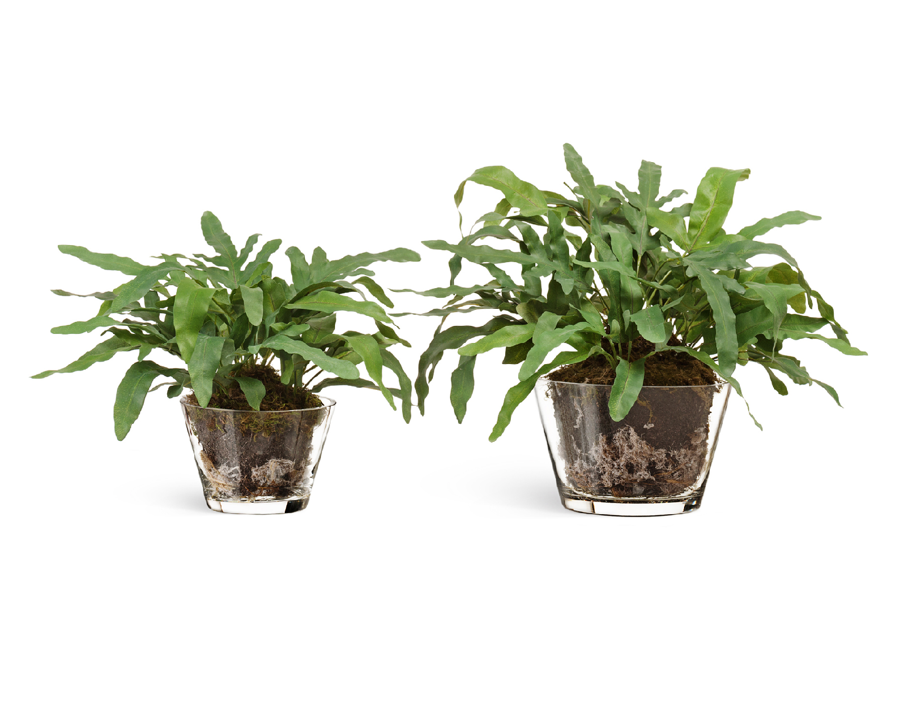 Дополнительные фото 1