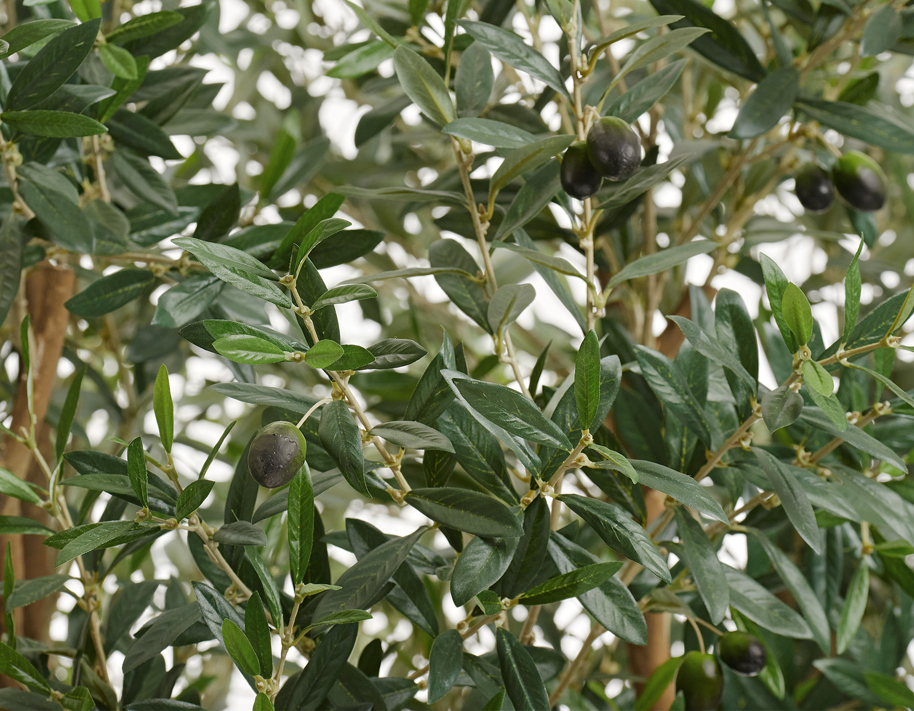 Дополнительные фото 5