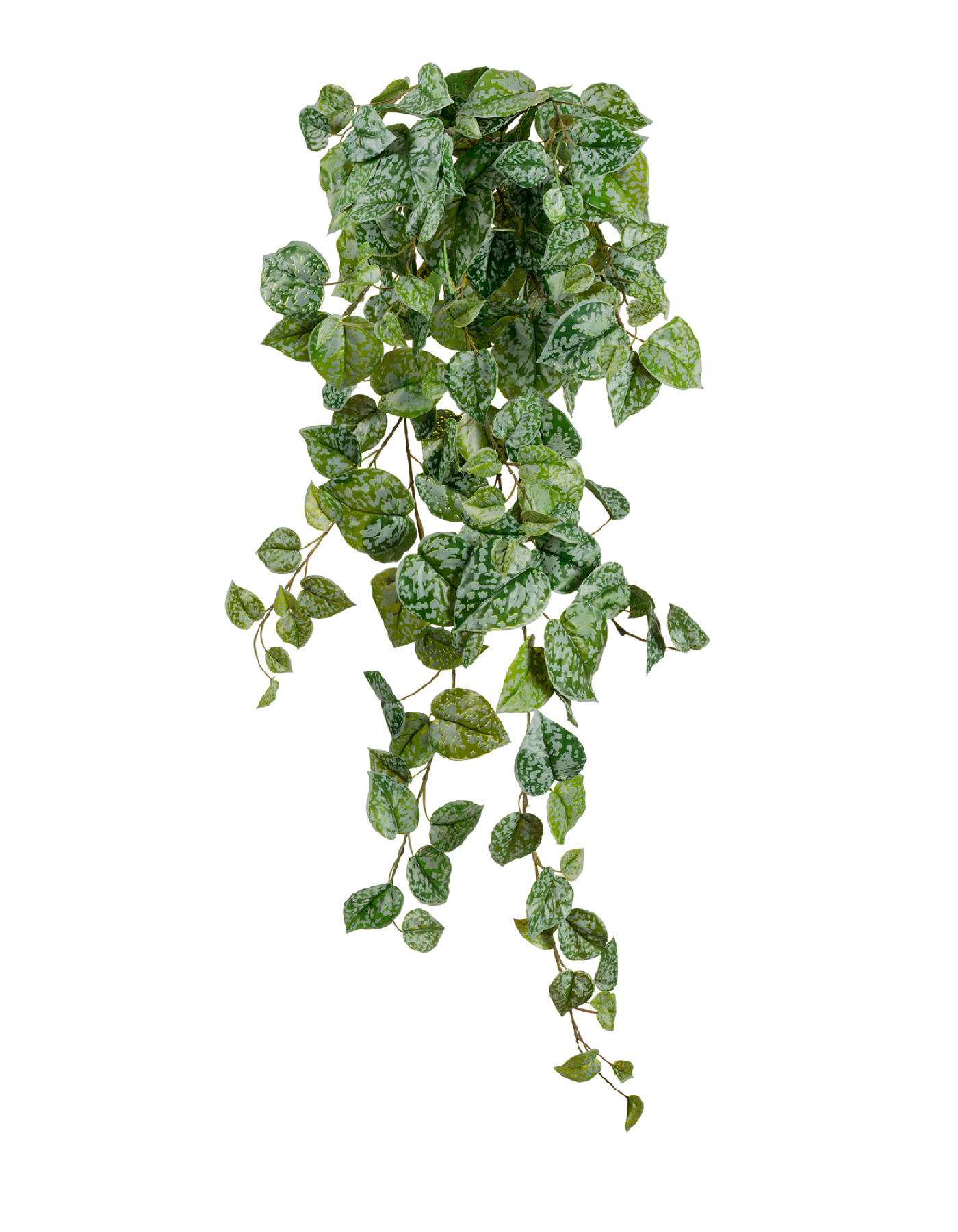 Дополнительные фото 3