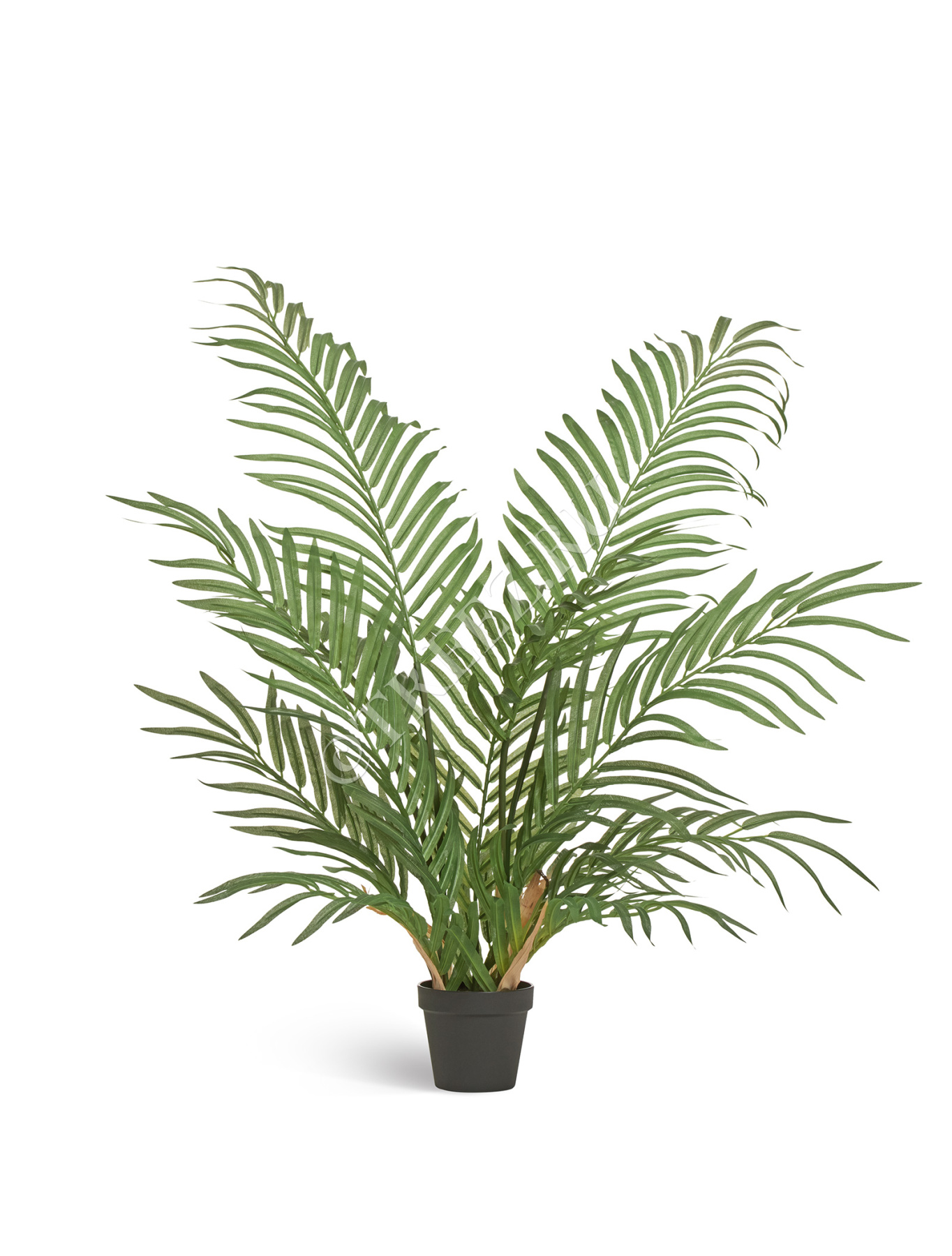 Пальма Арека Форест 90 см (12 веток) 2/2