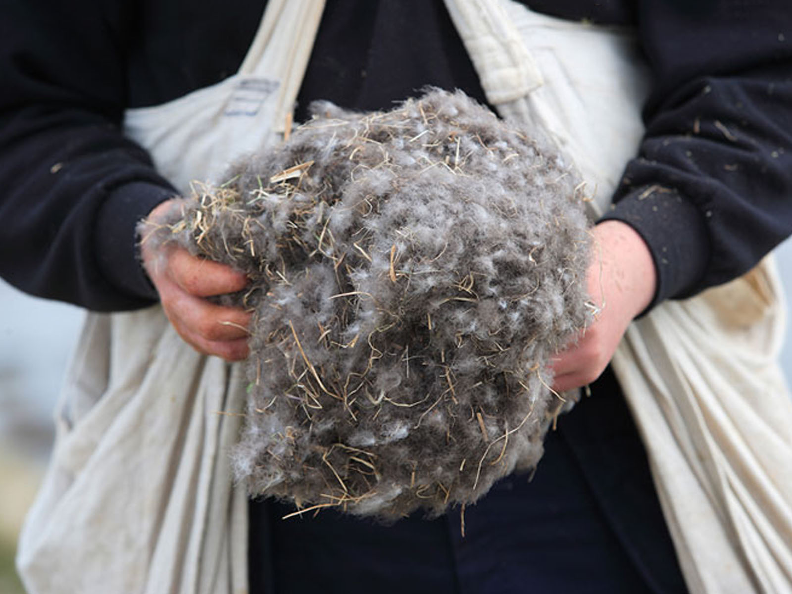 Дополнительные фото 17